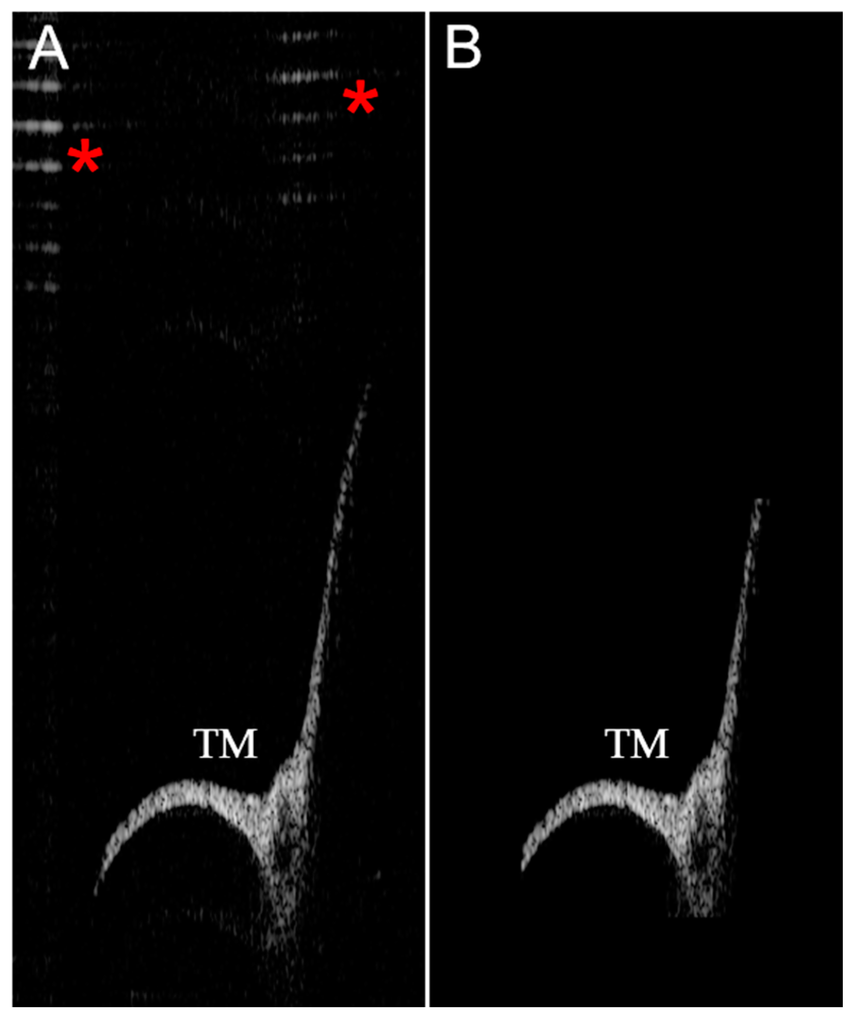 Algorithms 16 00445 g004