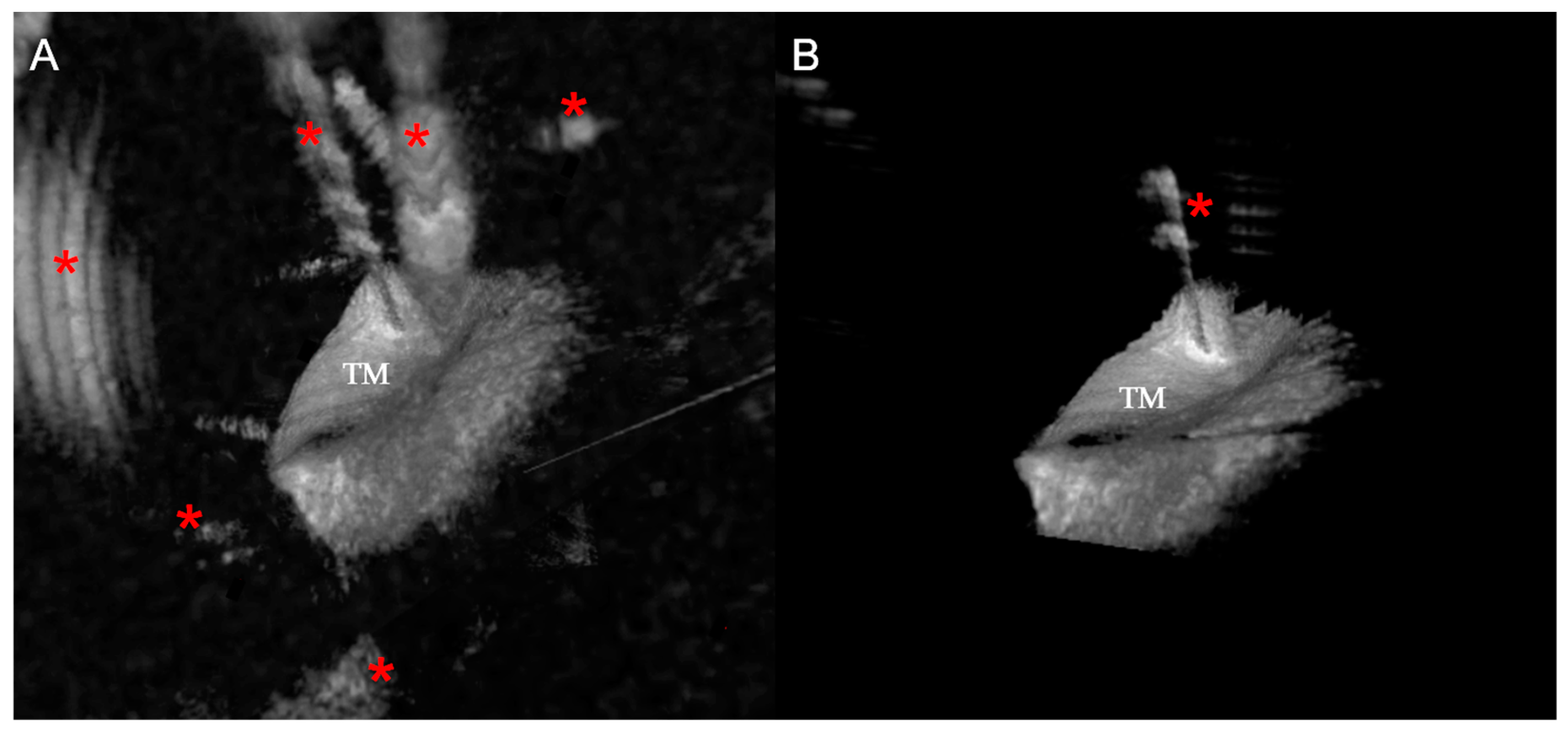 Algorithms 16 00445 g005