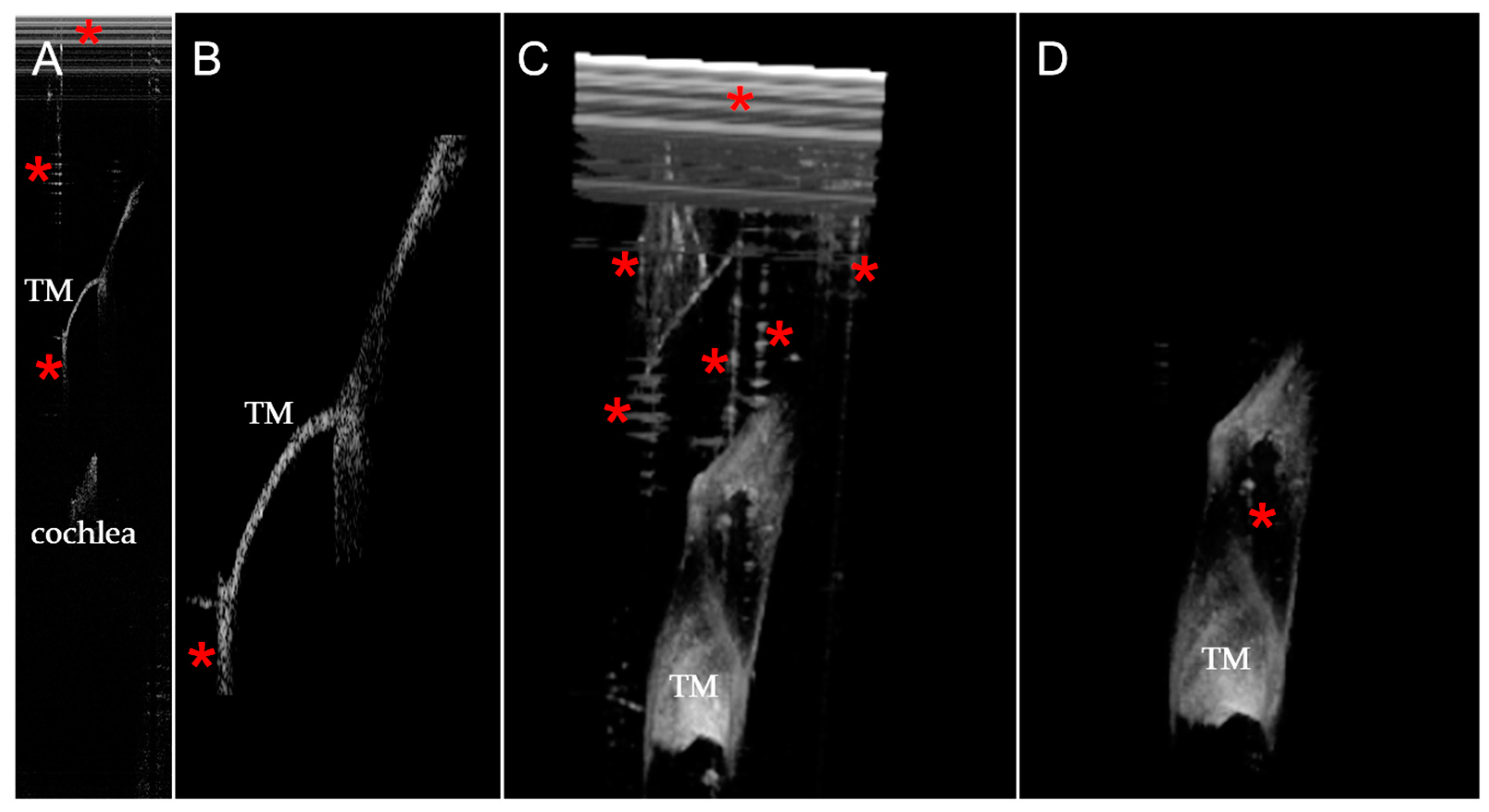 Algorithms 16 00445 g006