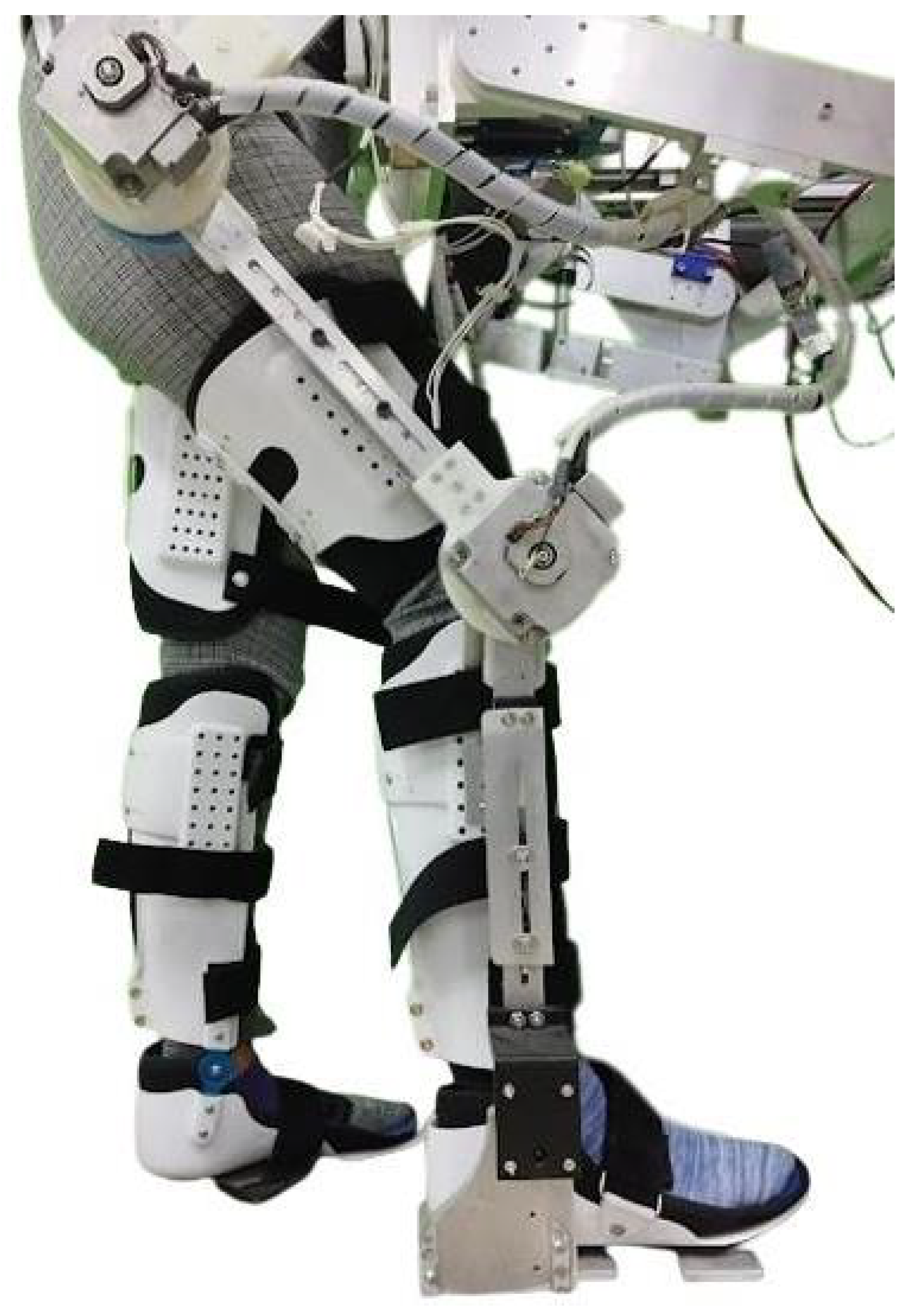 Algorithms 16 00449 g007