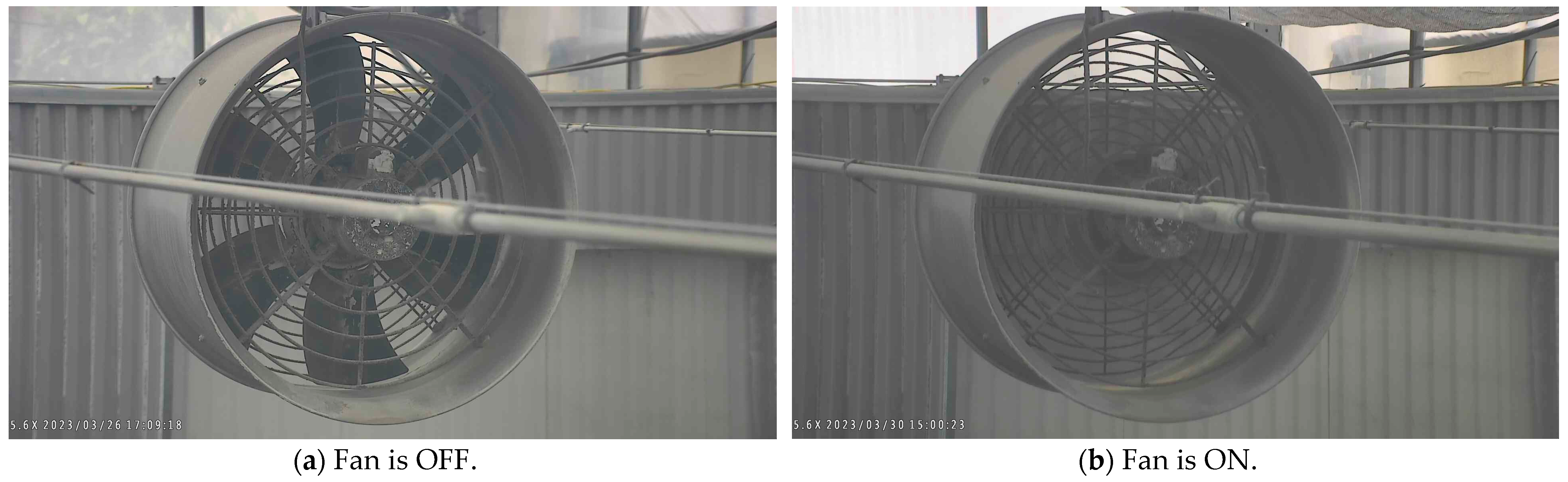 Algorithms 16 00481 g011