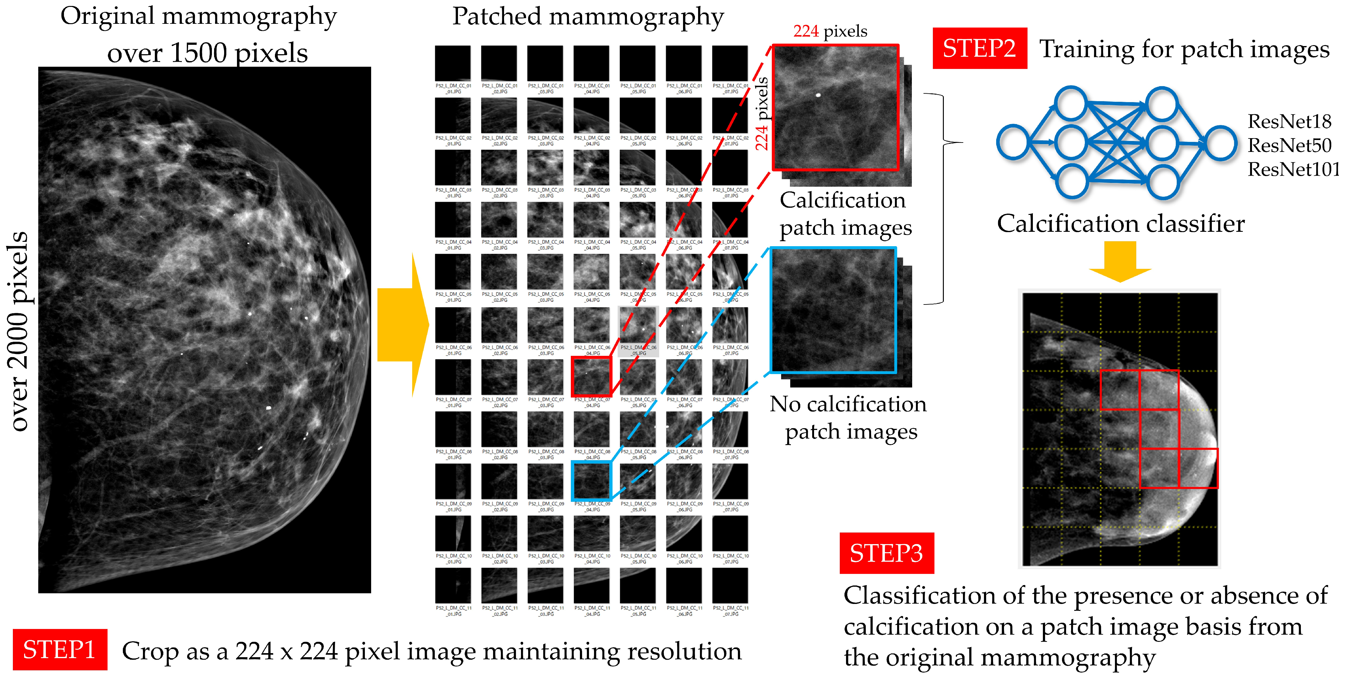 Algorithms 16 00483 g001