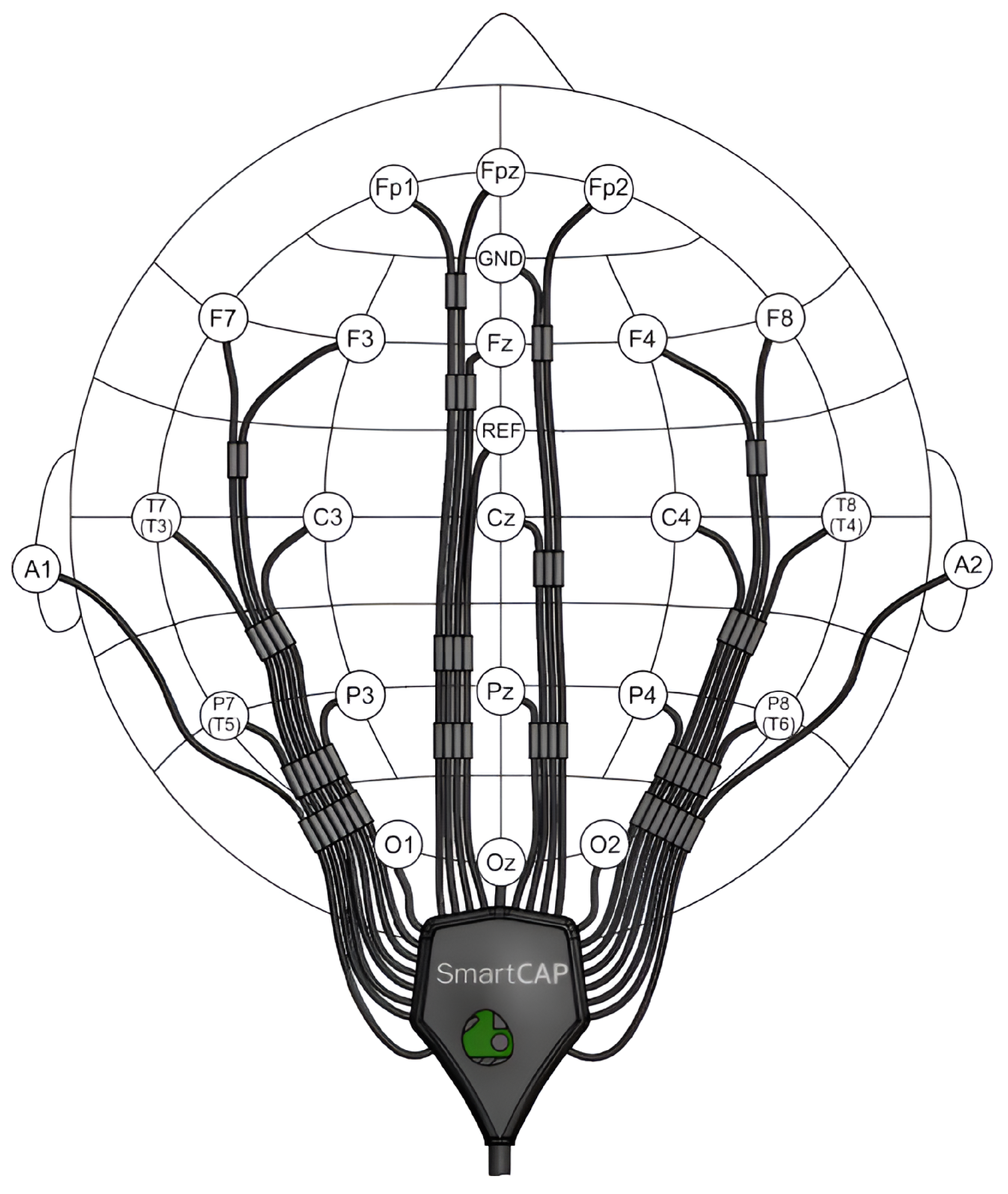 Algorithms 16 00502 g001