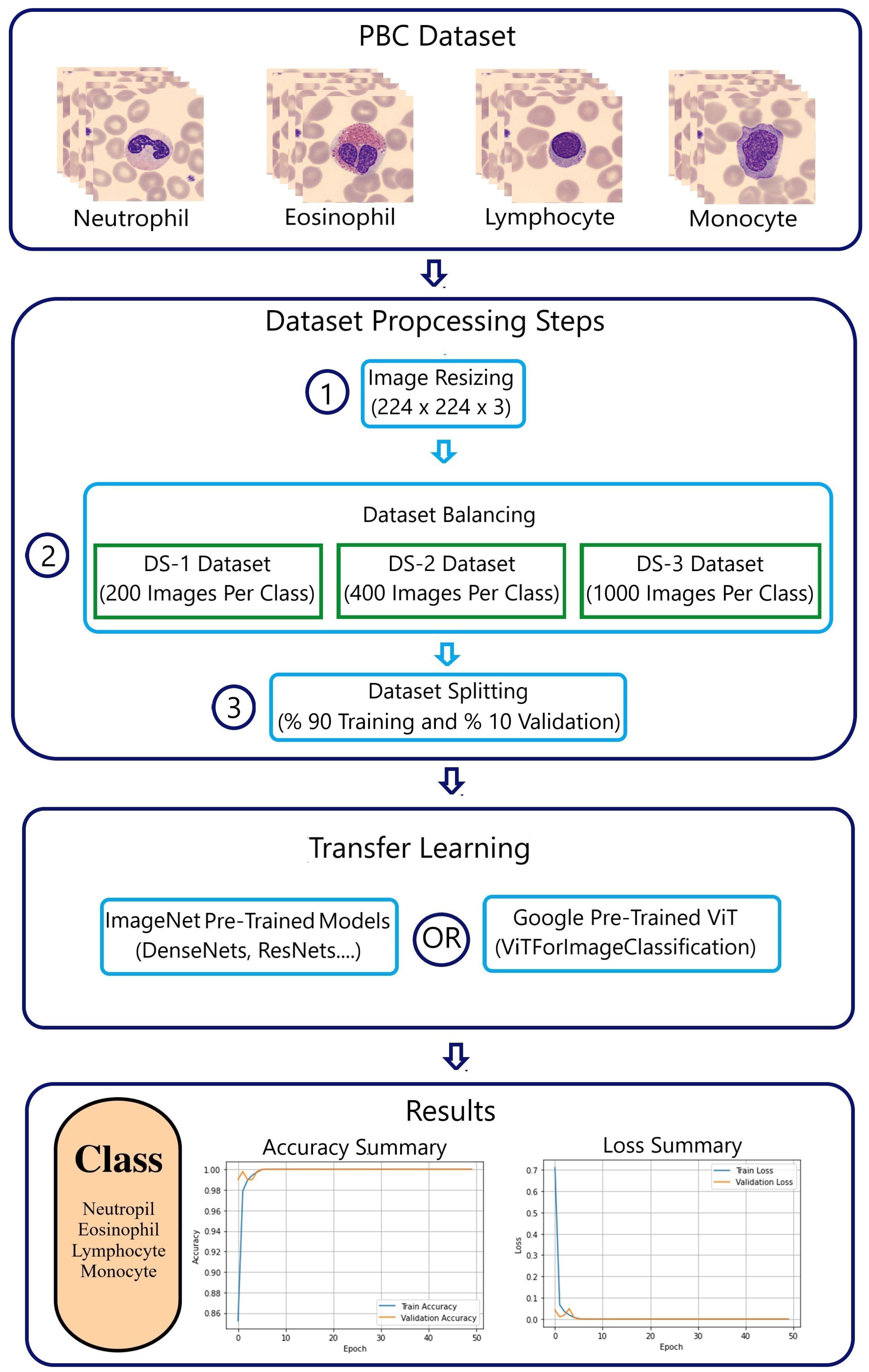 Algorithms 16 00525 g001
