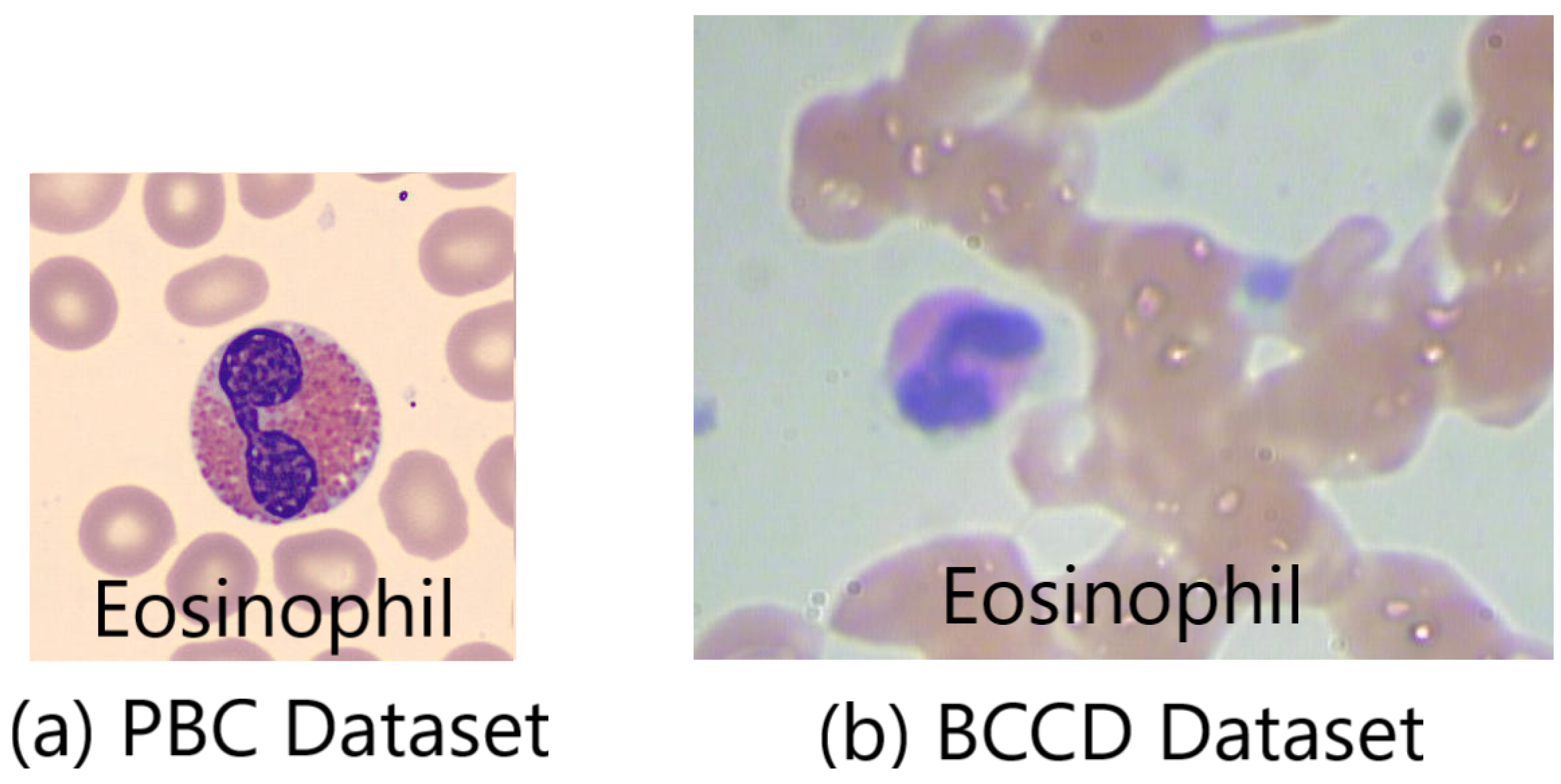 Algorithms 16 00525 g003