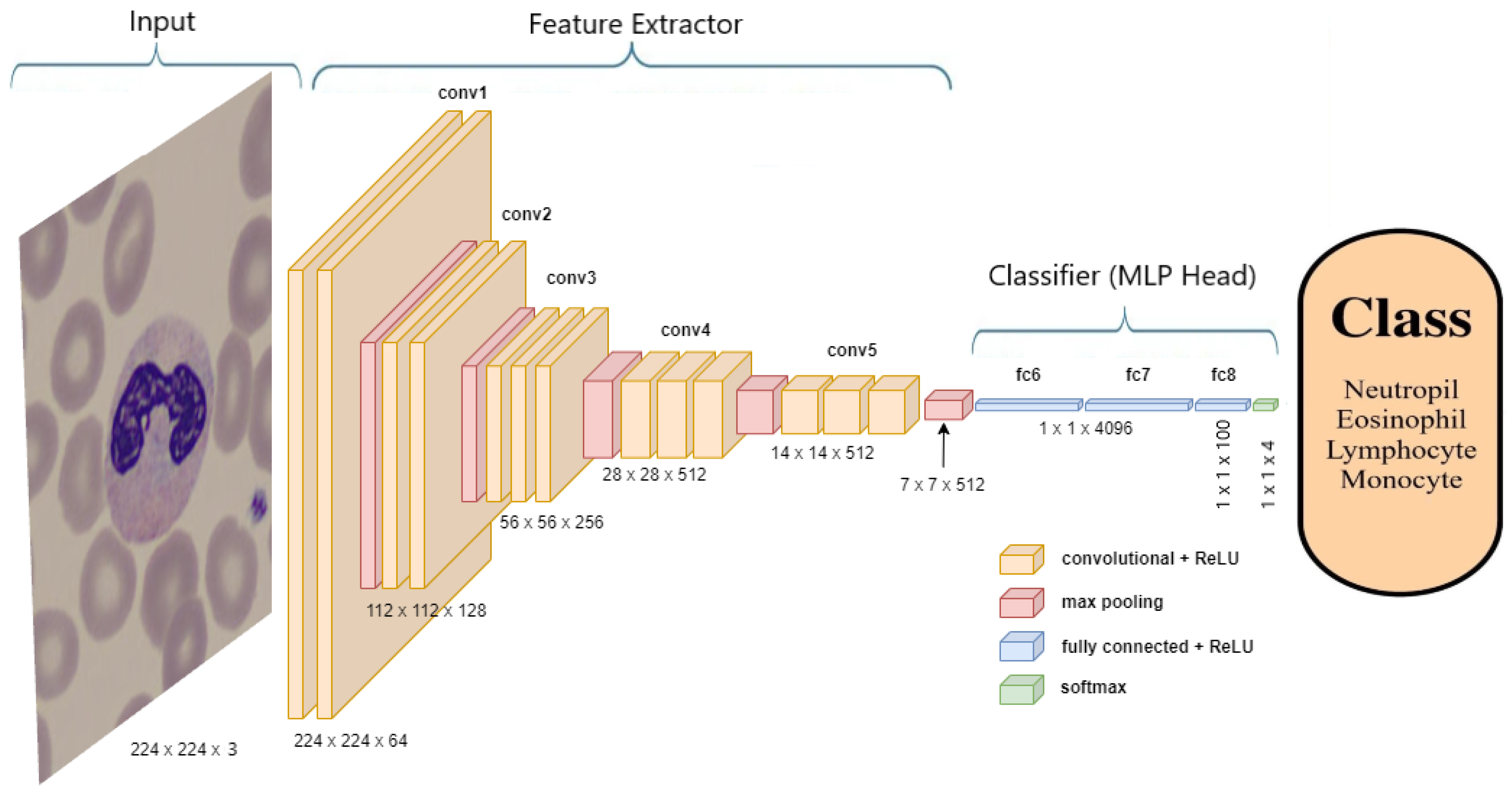Algorithms 16 00525 g004