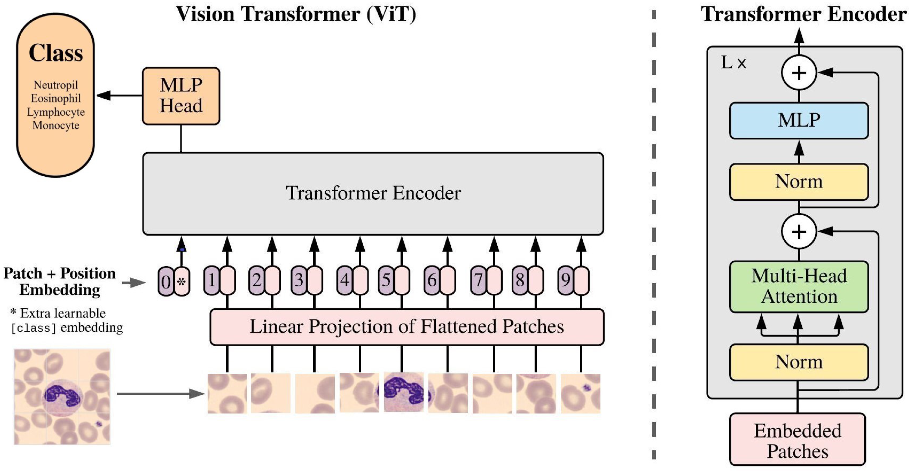 Algorithms 16 00525 g006