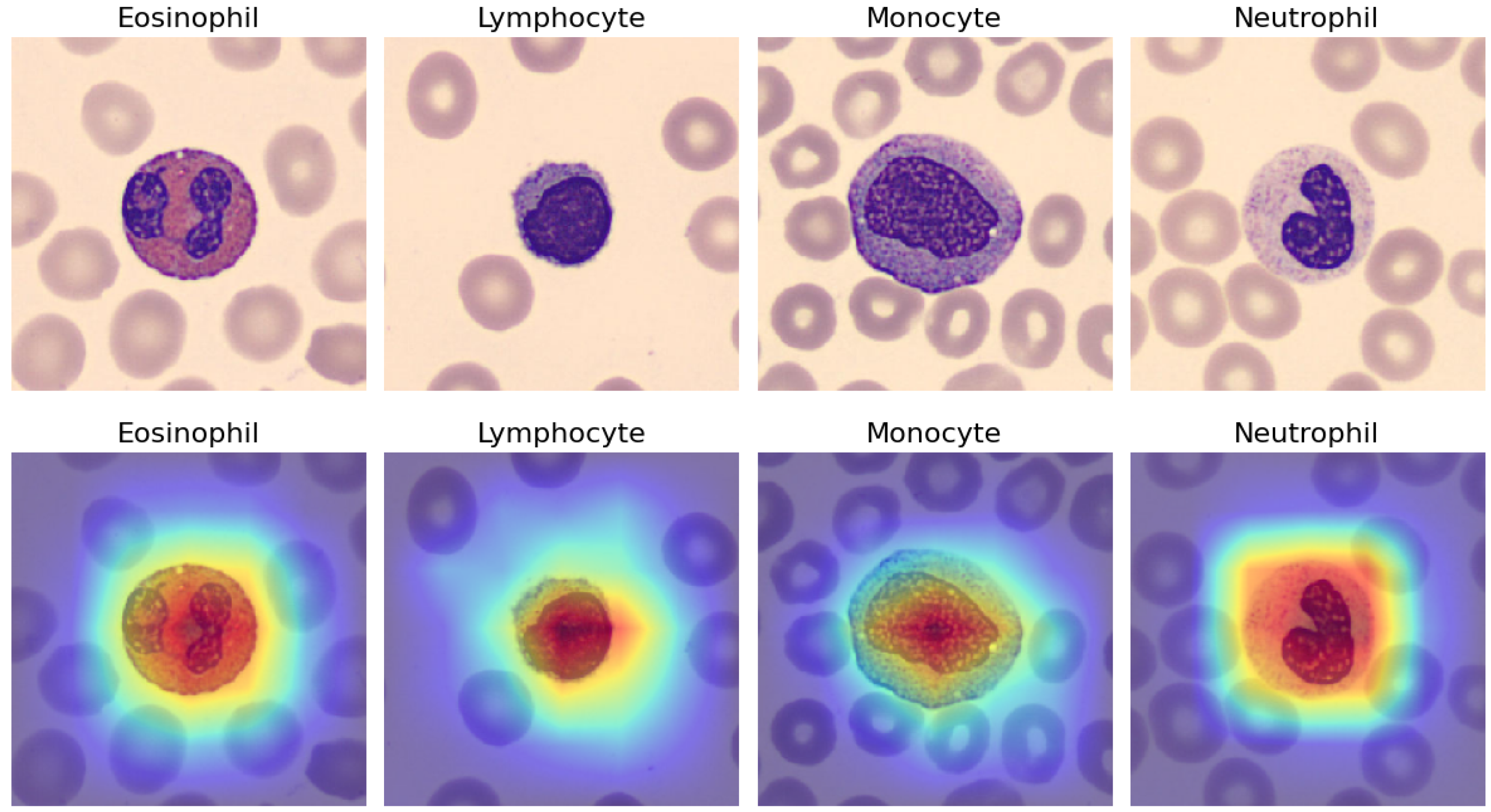 Algorithms 16 00525 g008