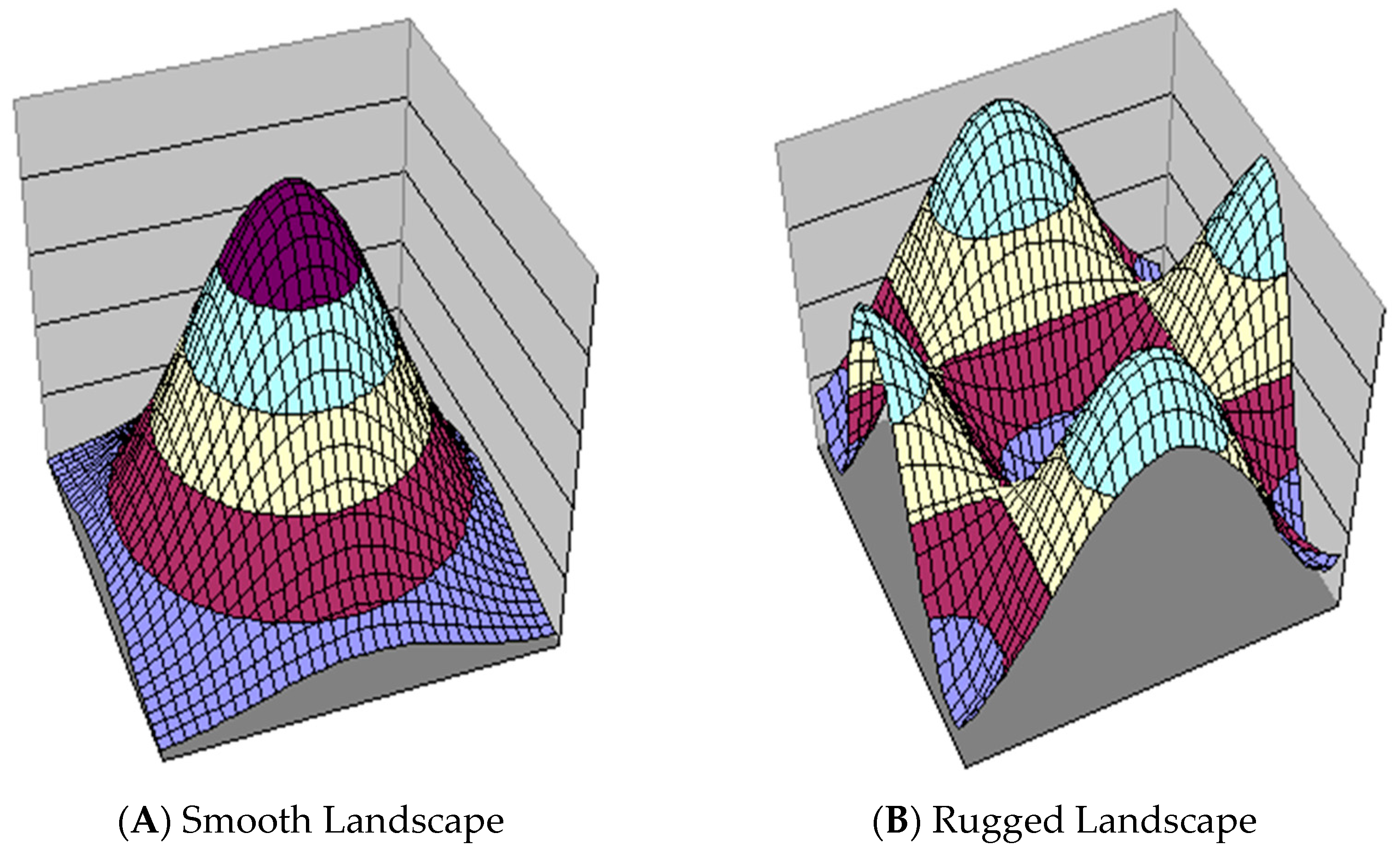 Algorithms 16 00527 g003