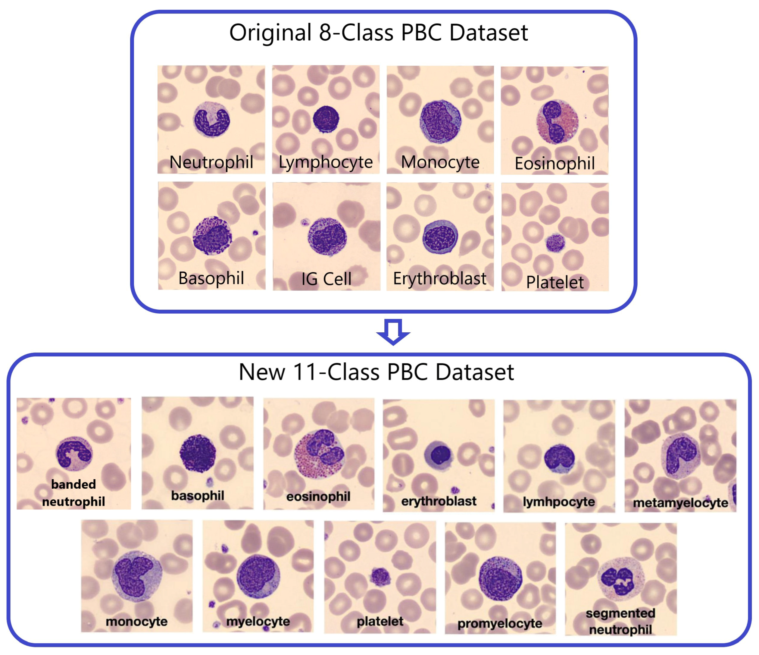 Algorithms 16 00562 g003