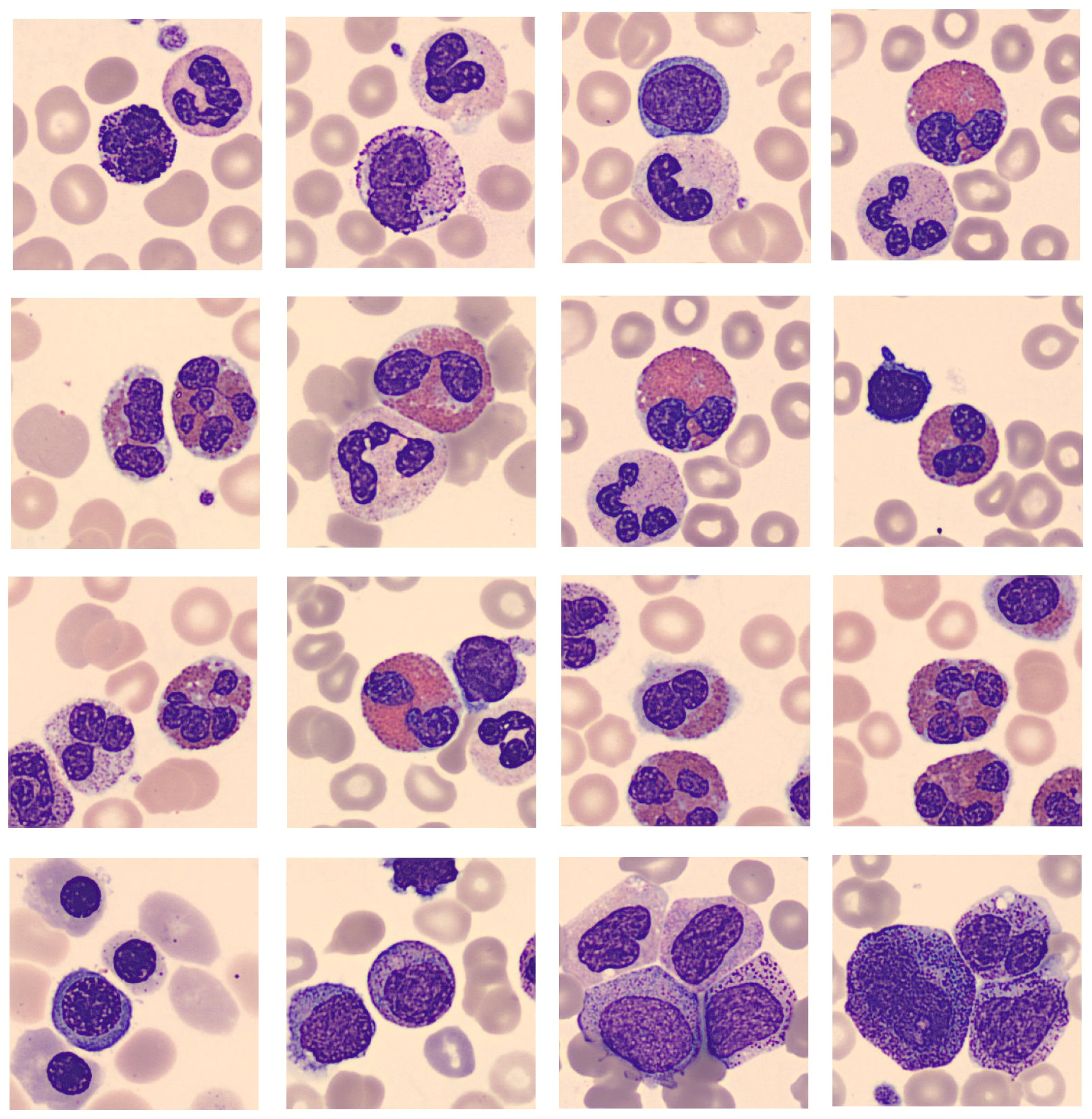 Algorithms 16 00562 g004