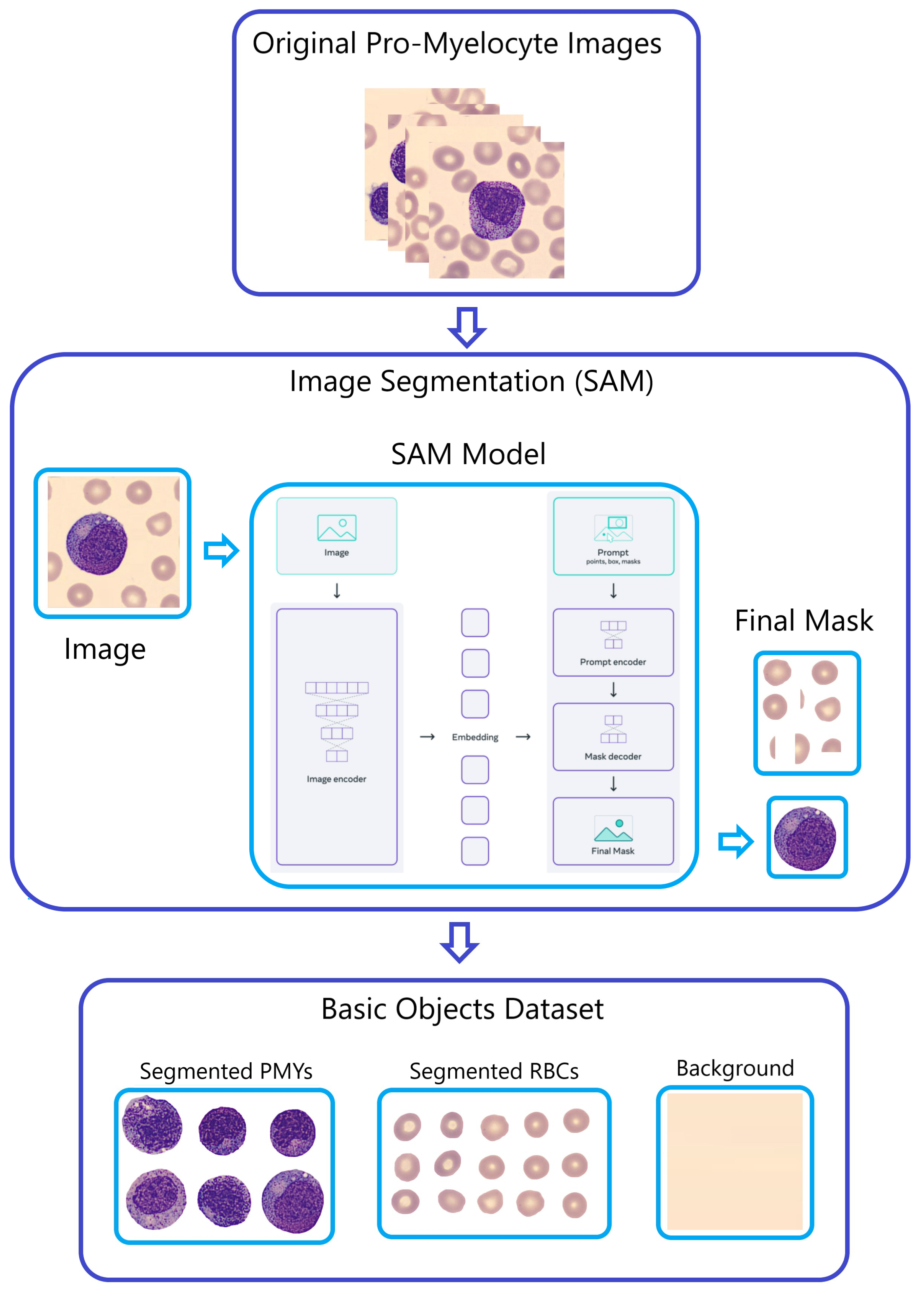Algorithms 16 00562 g005