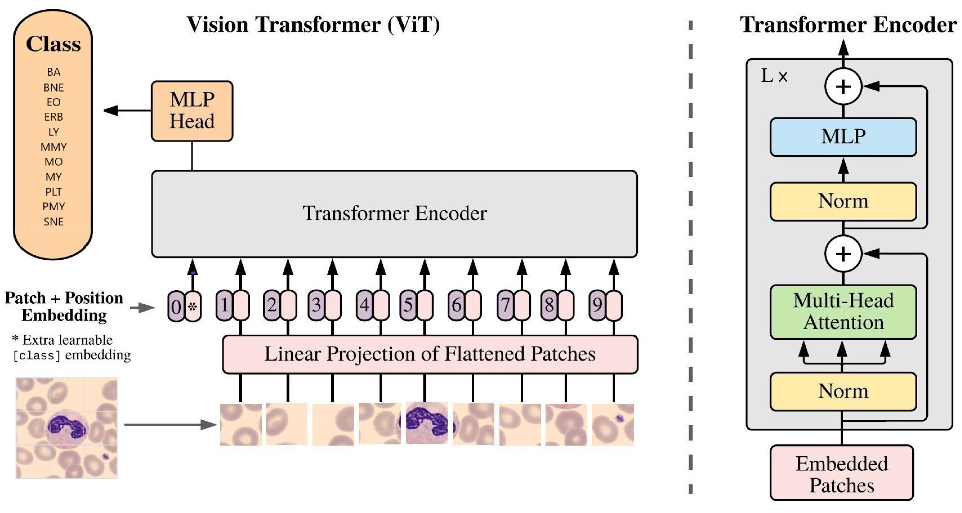 Algorithms 16 00562 g008