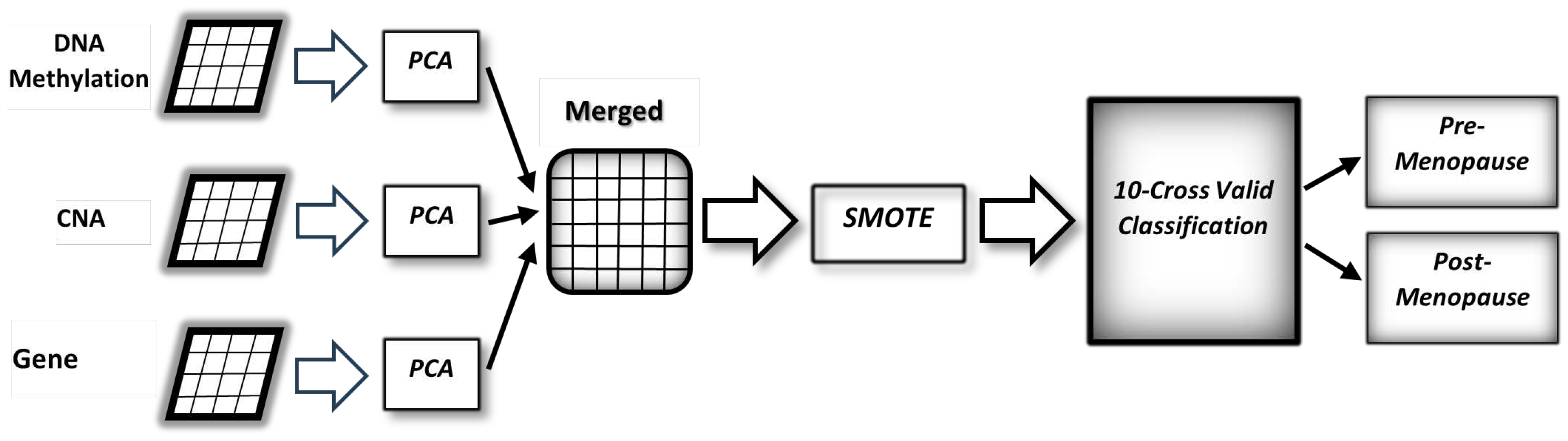 Algorithms 17 00013 g001