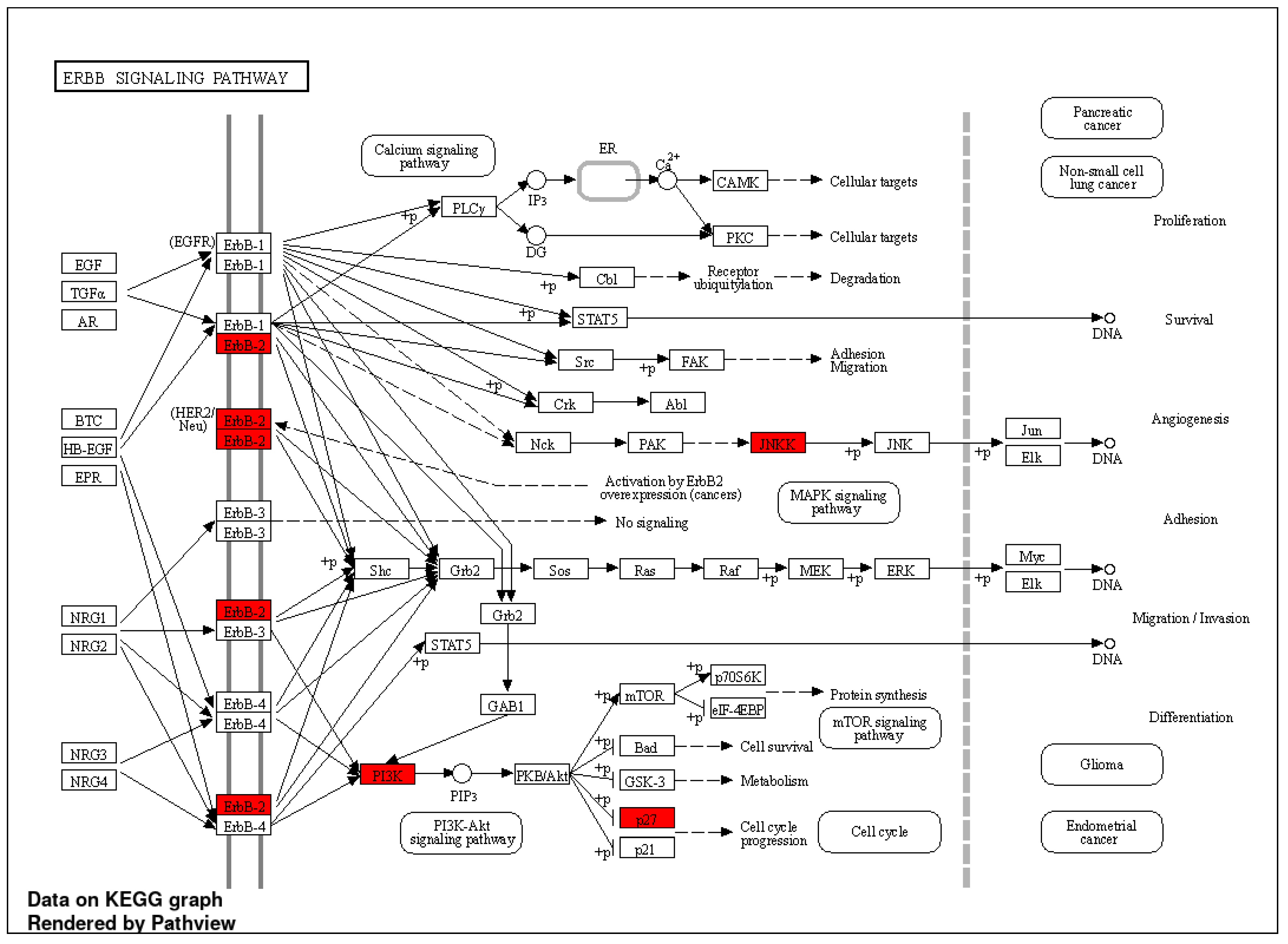 Algorithms 17 00013 g005