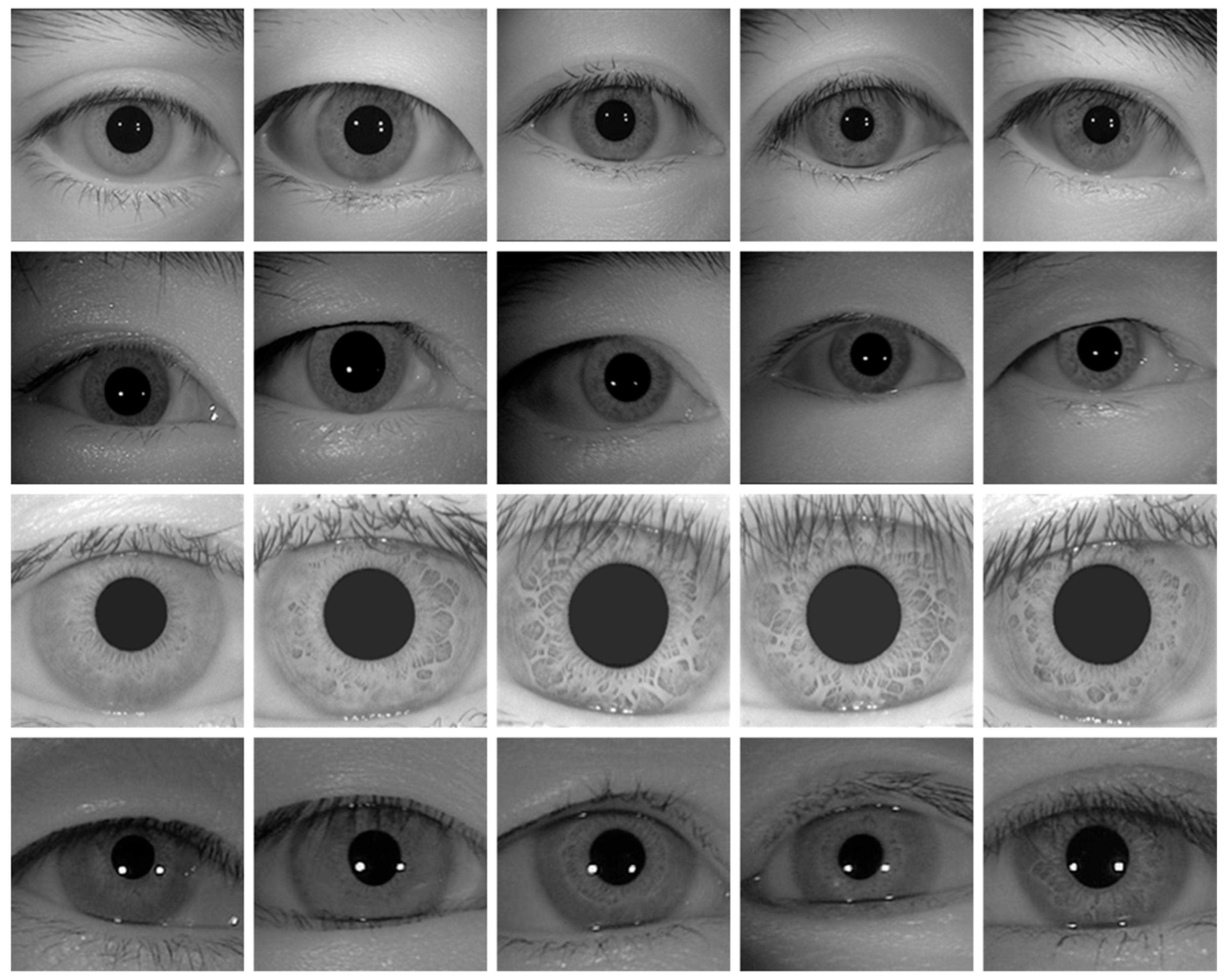 Algorithms 17 00092 g011