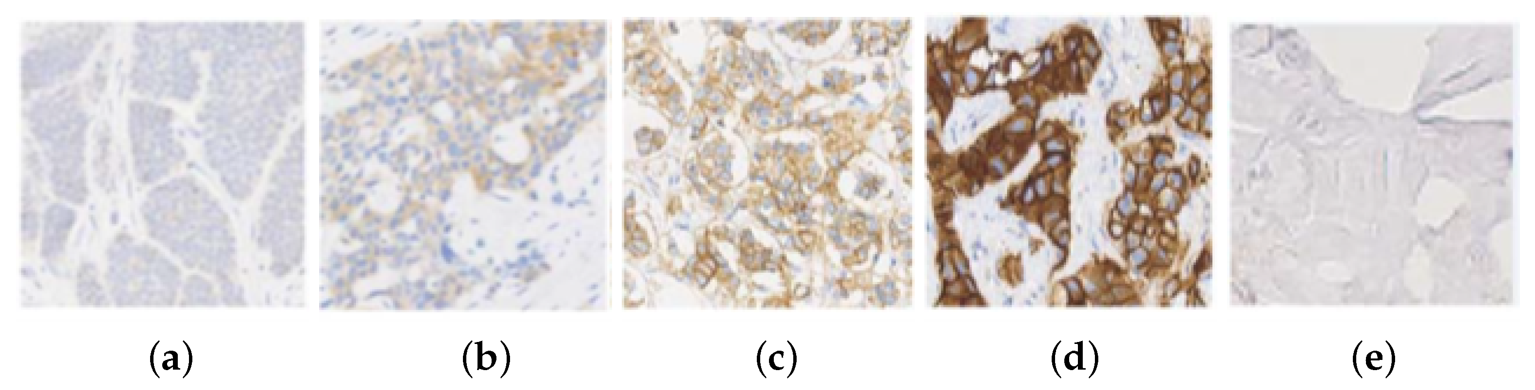 Algorithms 17 00097 g001