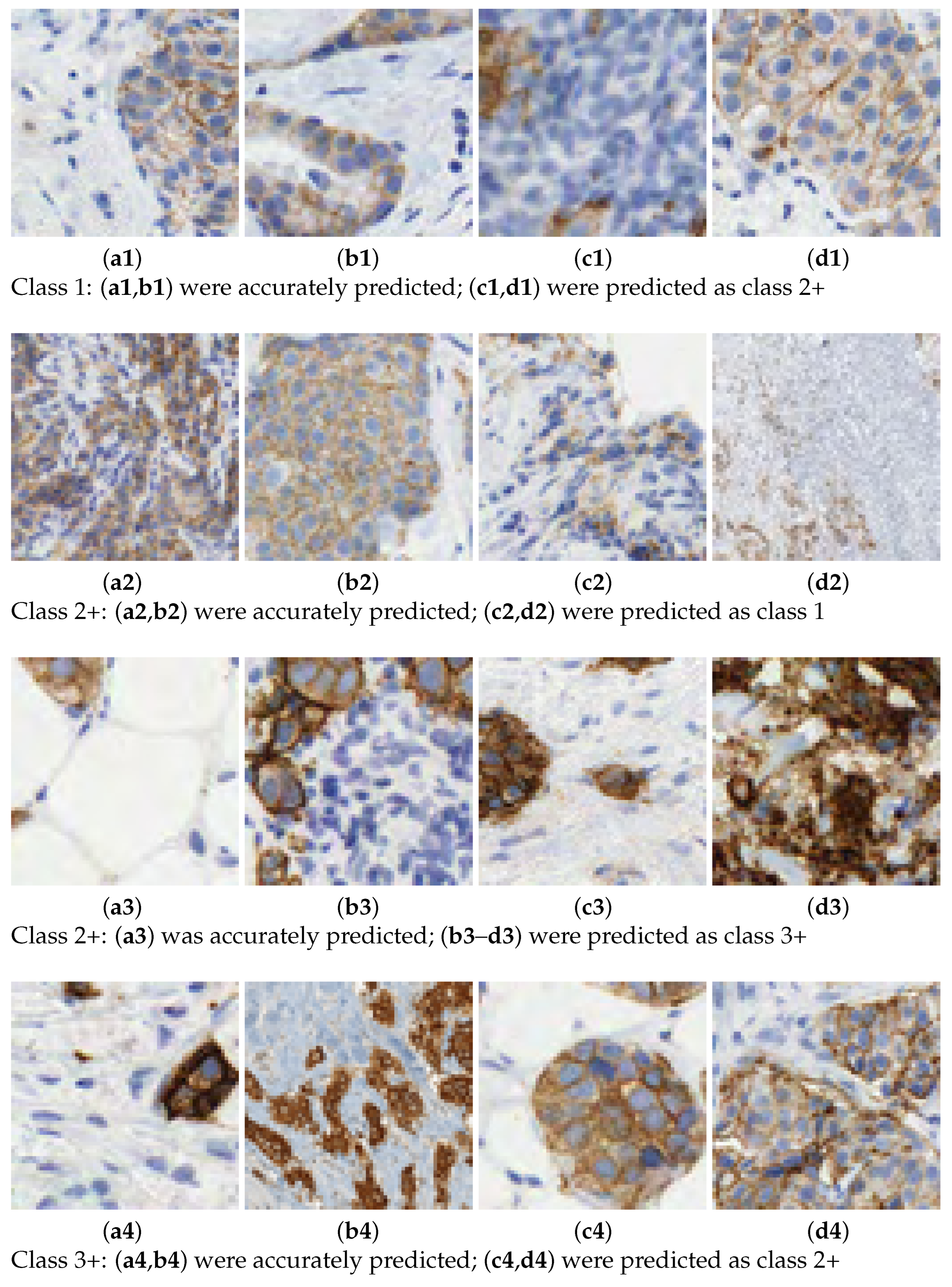 Algorithms 17 00097 g002