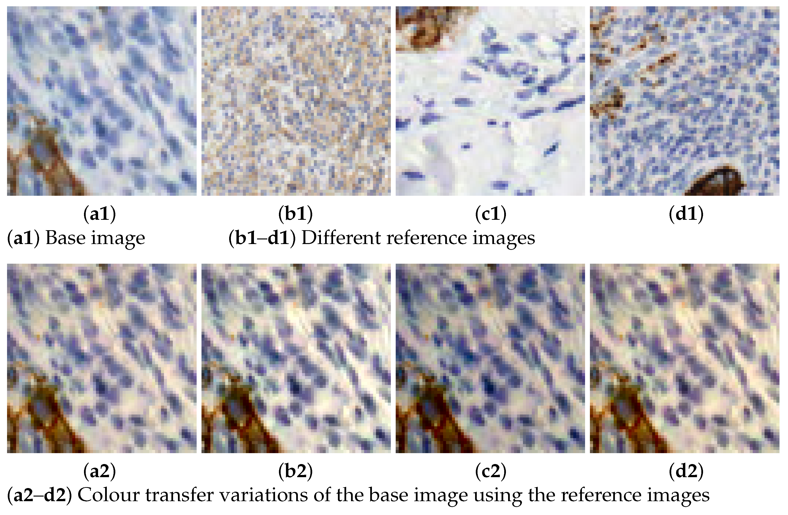 Algorithms 17 00097 g004