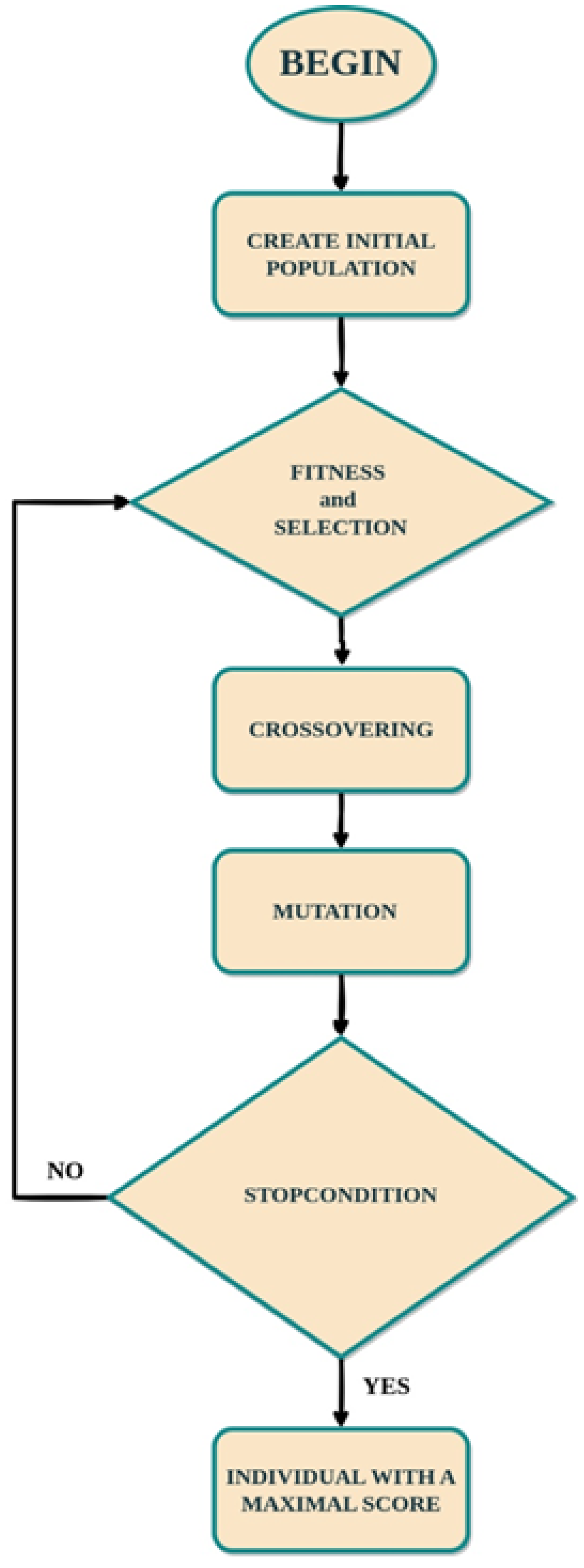 Algorithms 17 00101 g001