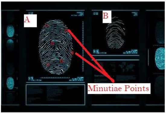 Algorithms 17 00225 g004