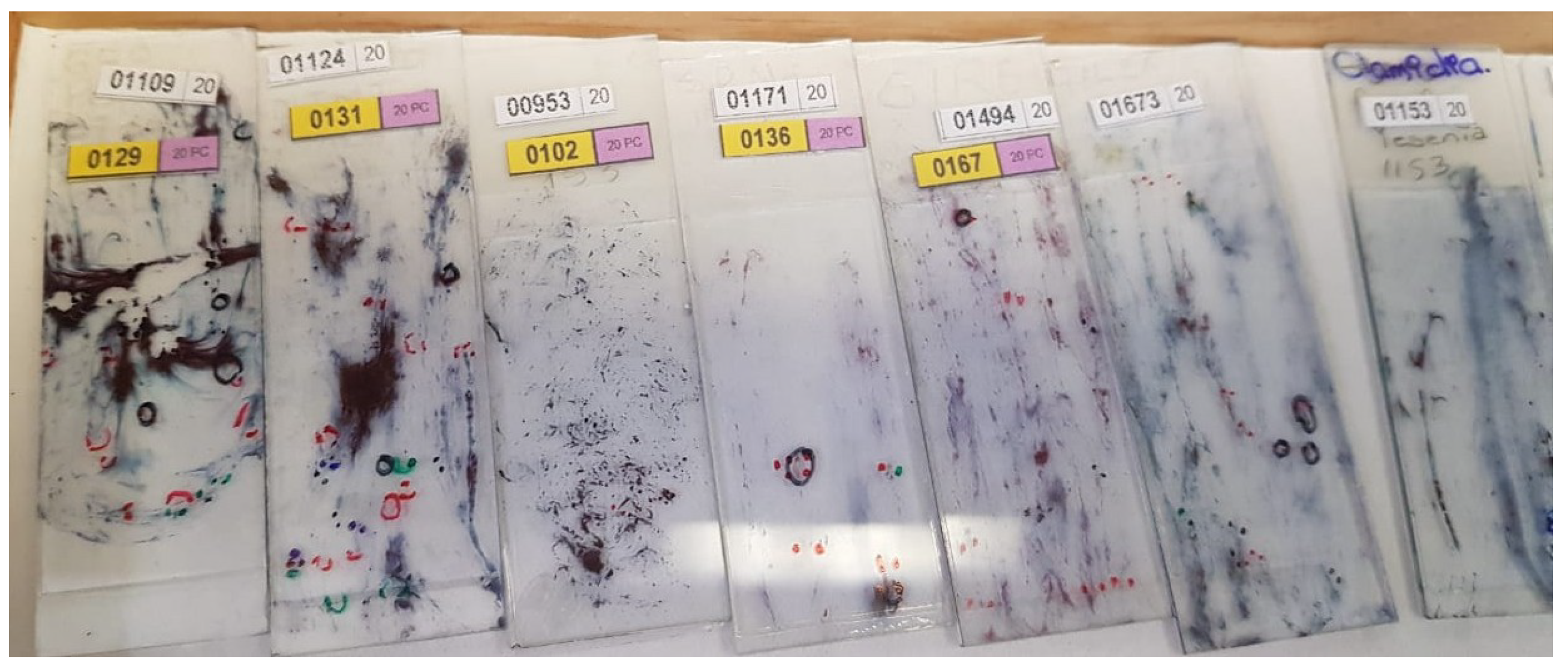 Algorithms 17 00309 g001