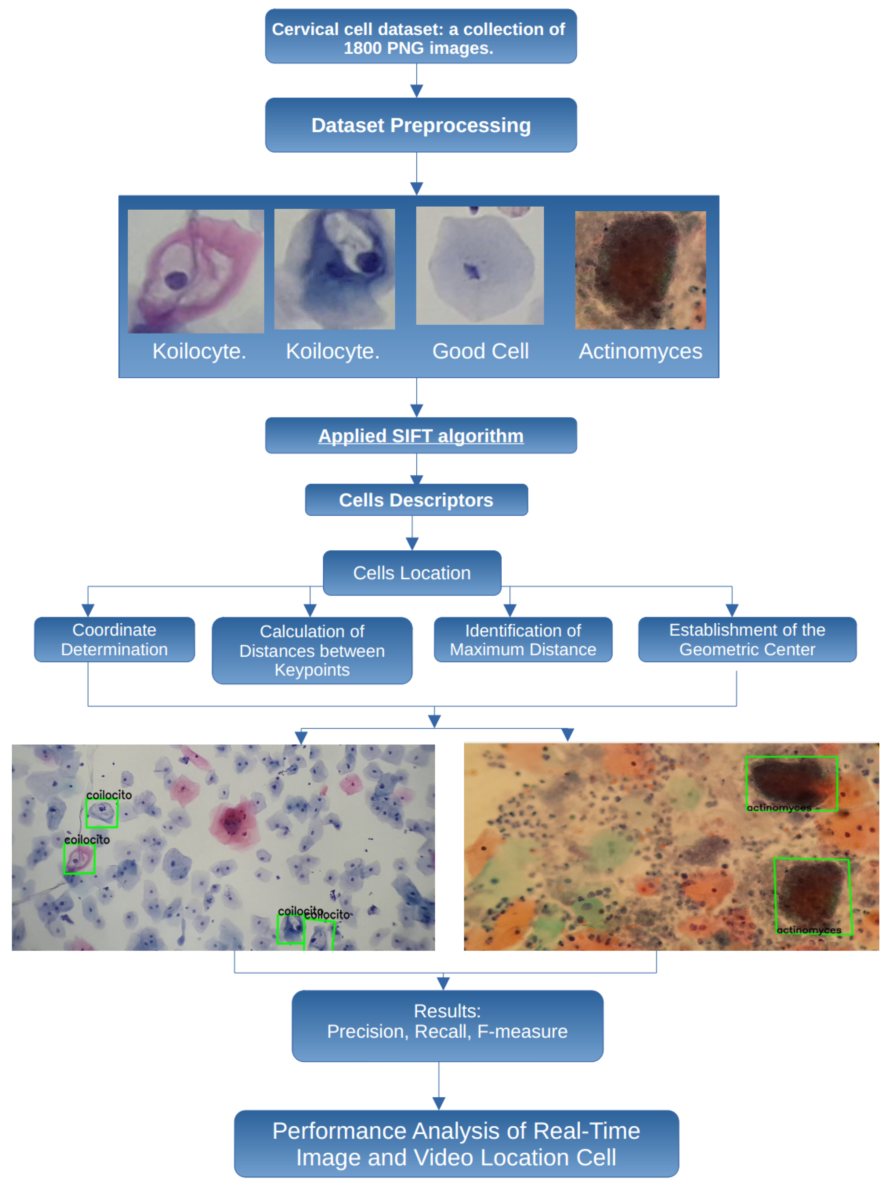 Algorithms 17 00309 g002