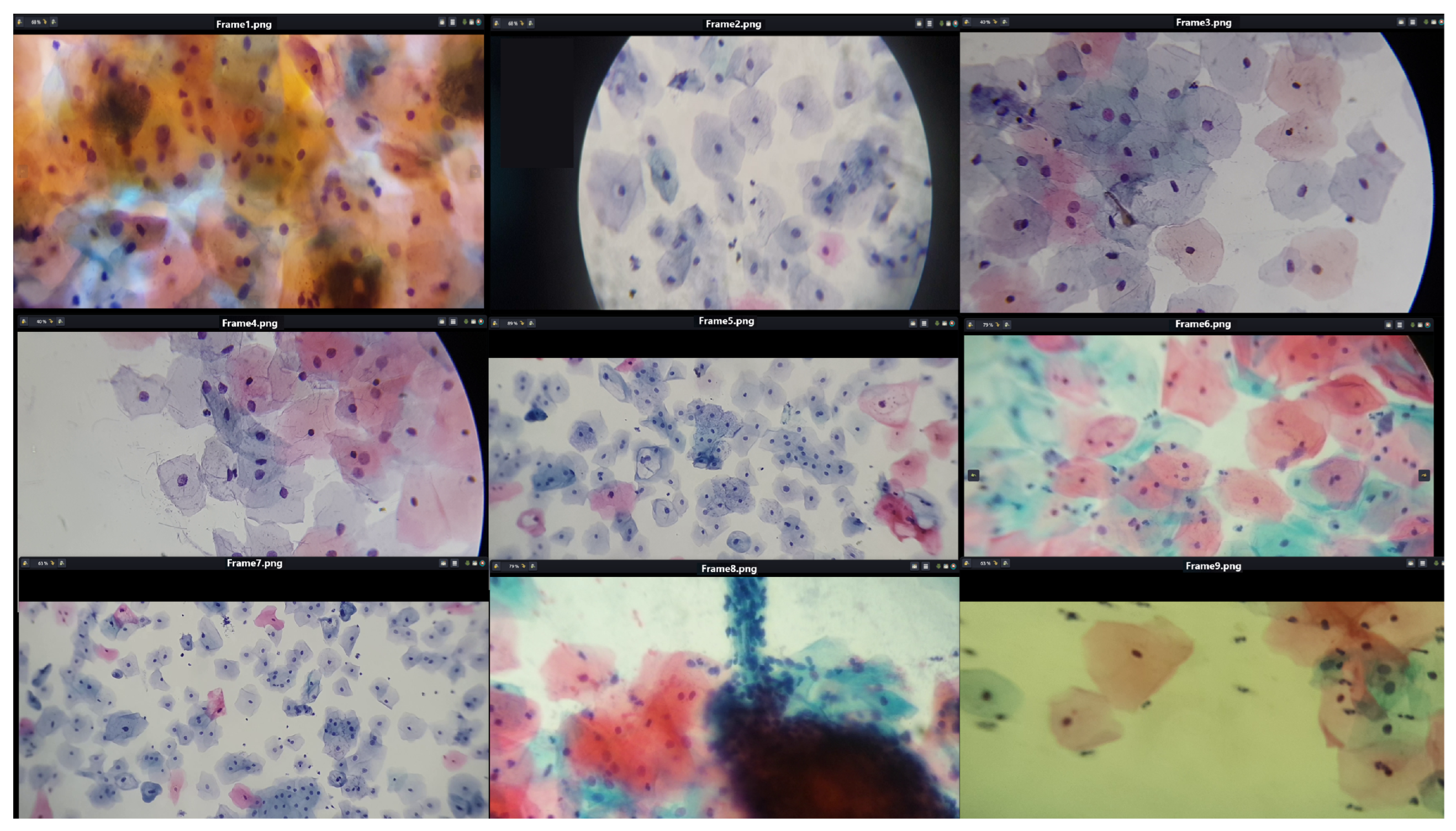 Algorithms 17 00309 g004