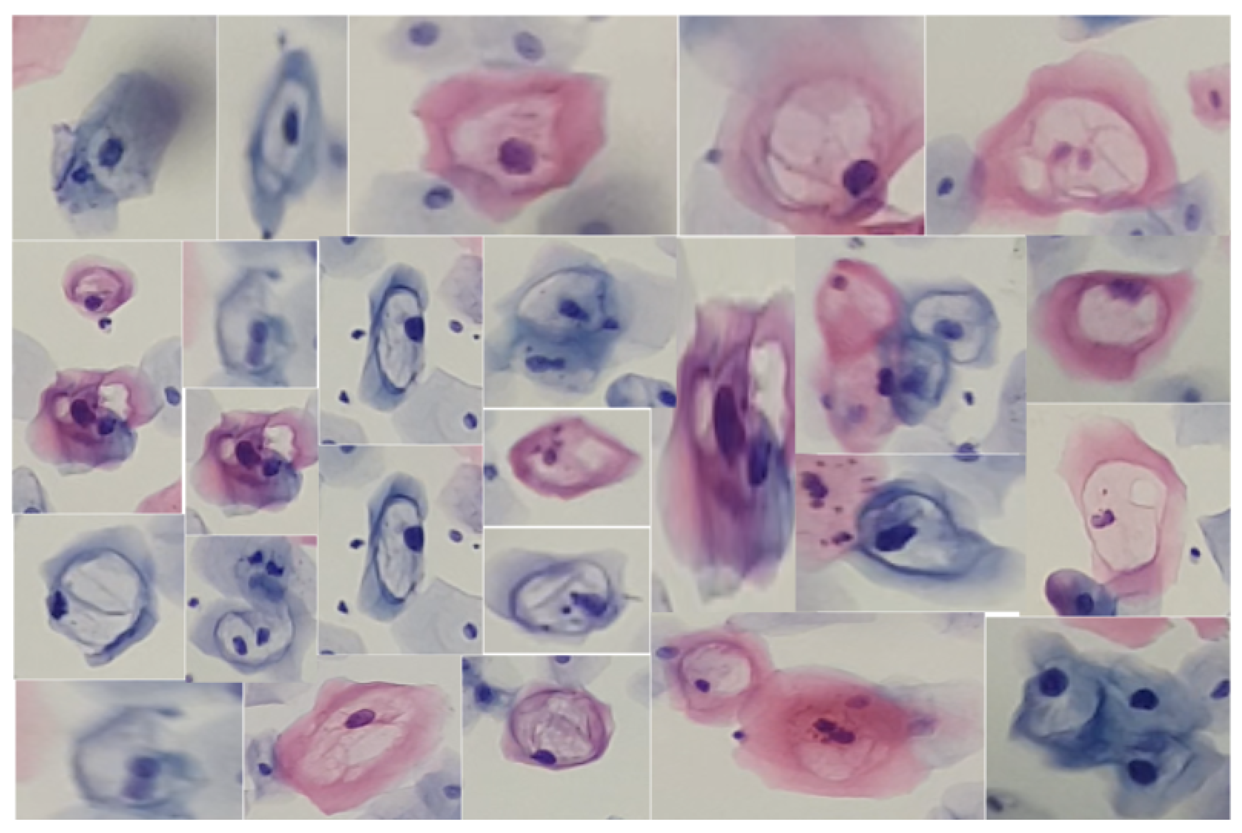 Algorithms 17 00309 g005