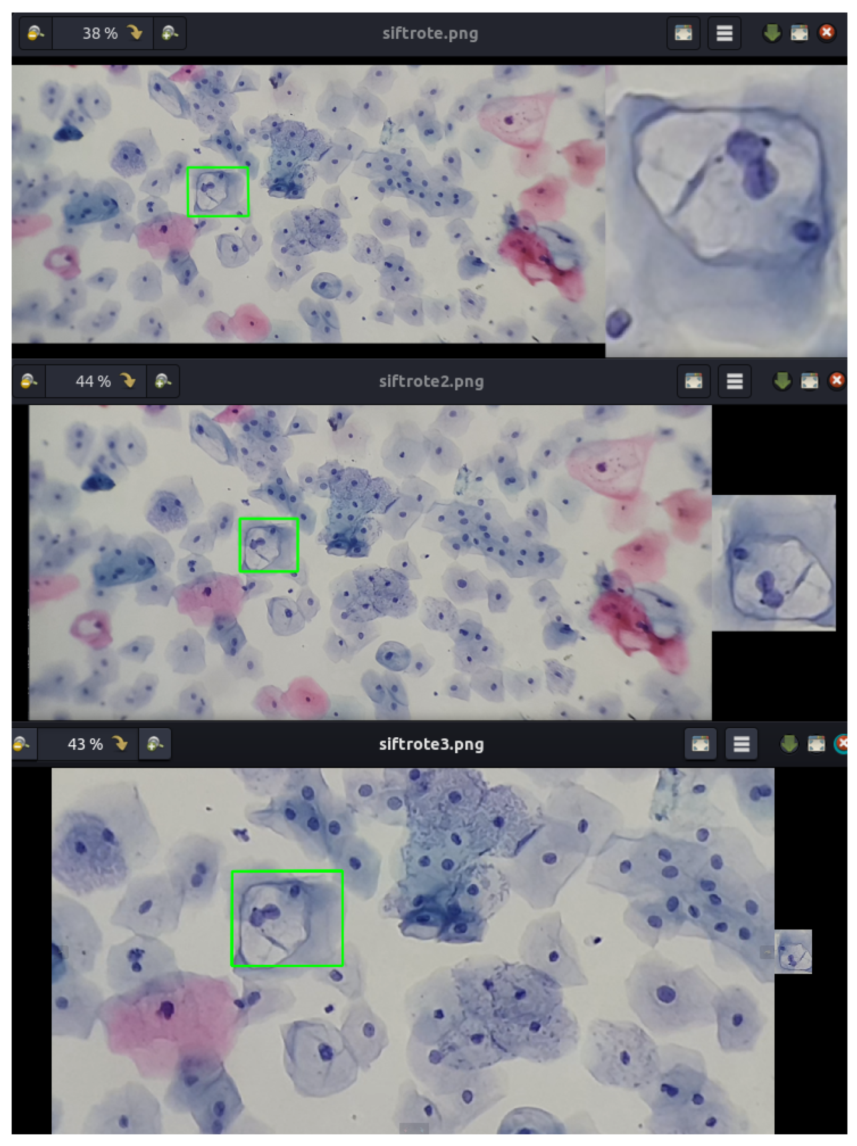 Algorithms 17 00309 g011