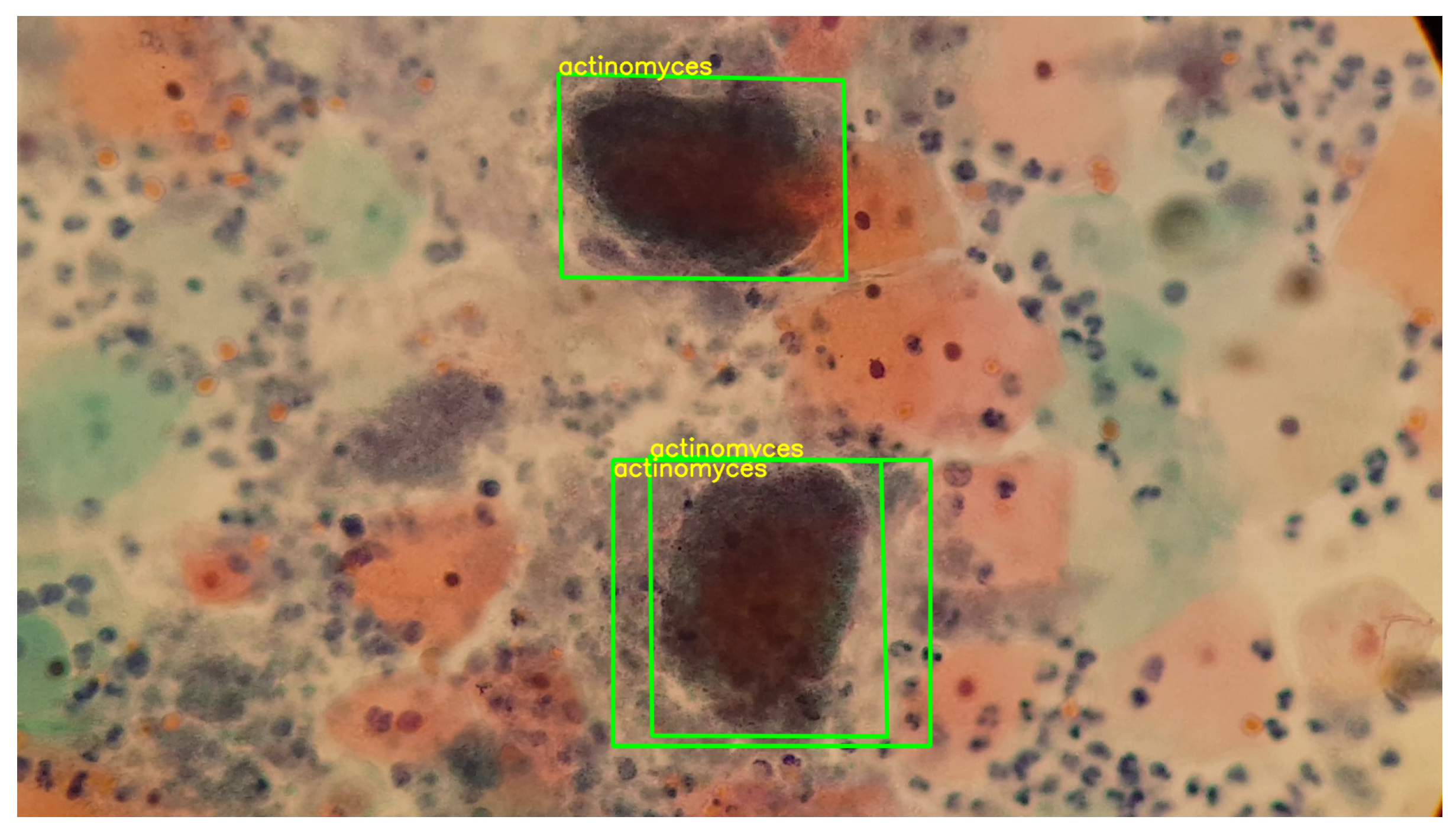 Algorithms 17 00309 g018