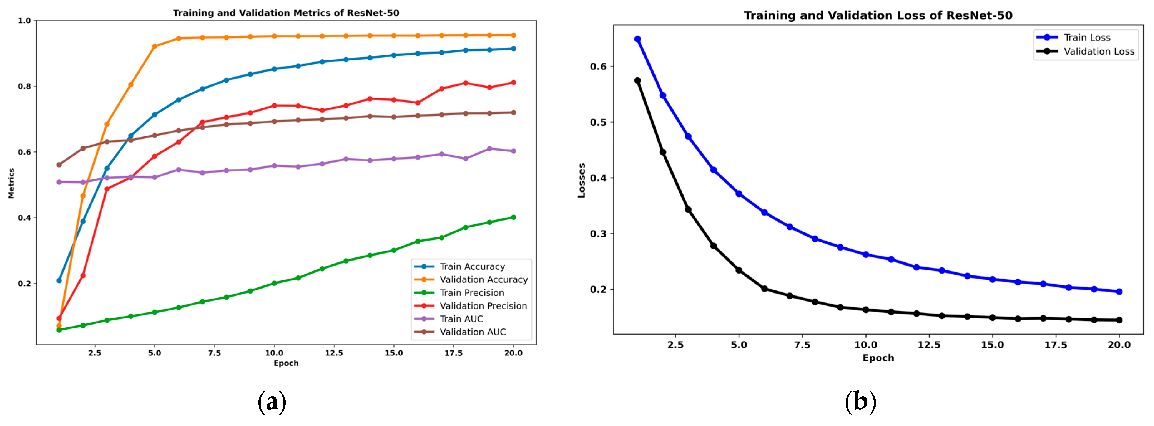 Algorithms 17 00364 g011