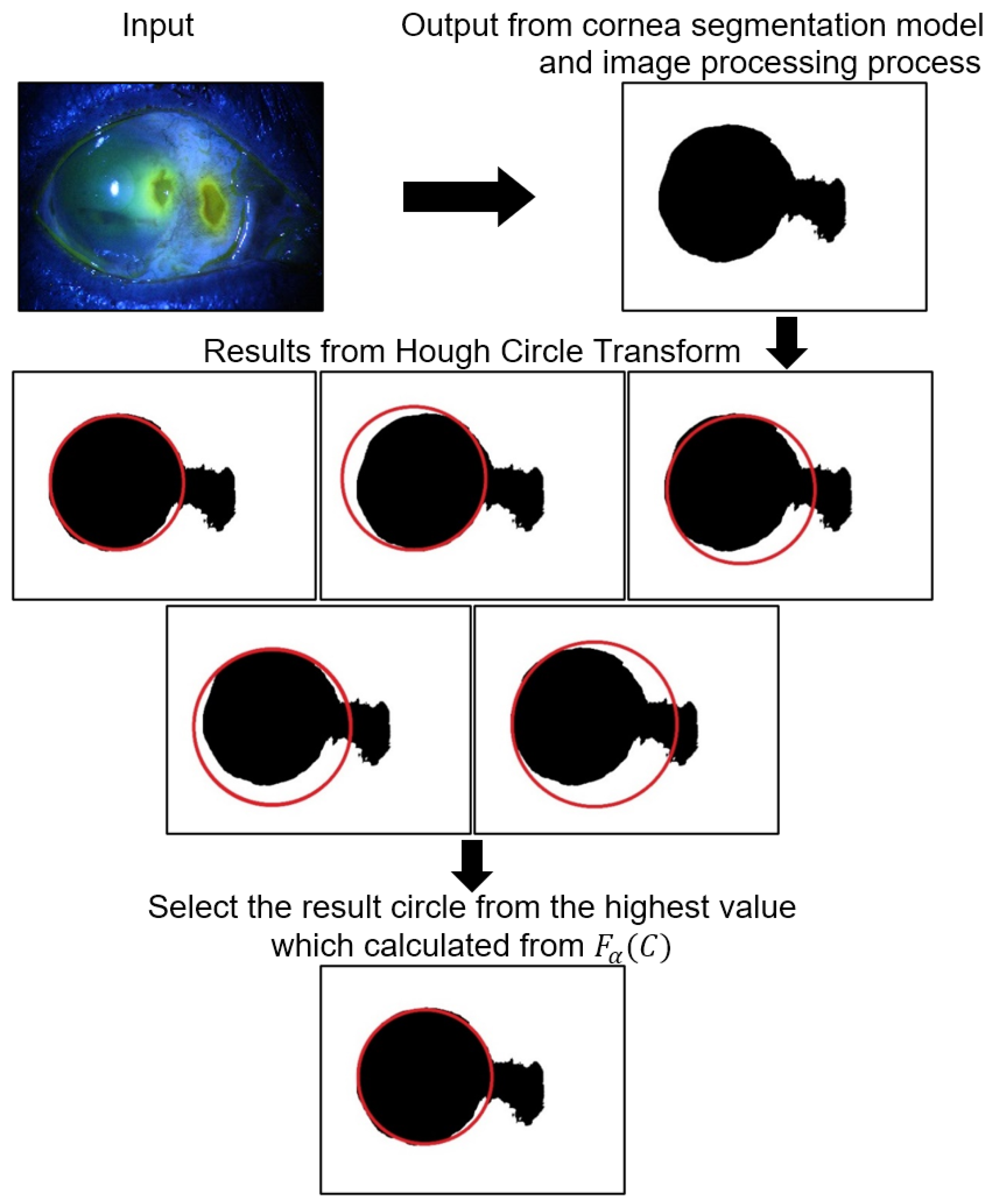 Algorithms 17 00405 g003