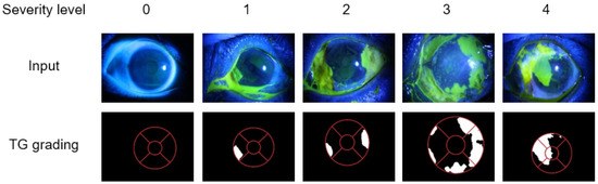 Algorithms 17 00405 g005