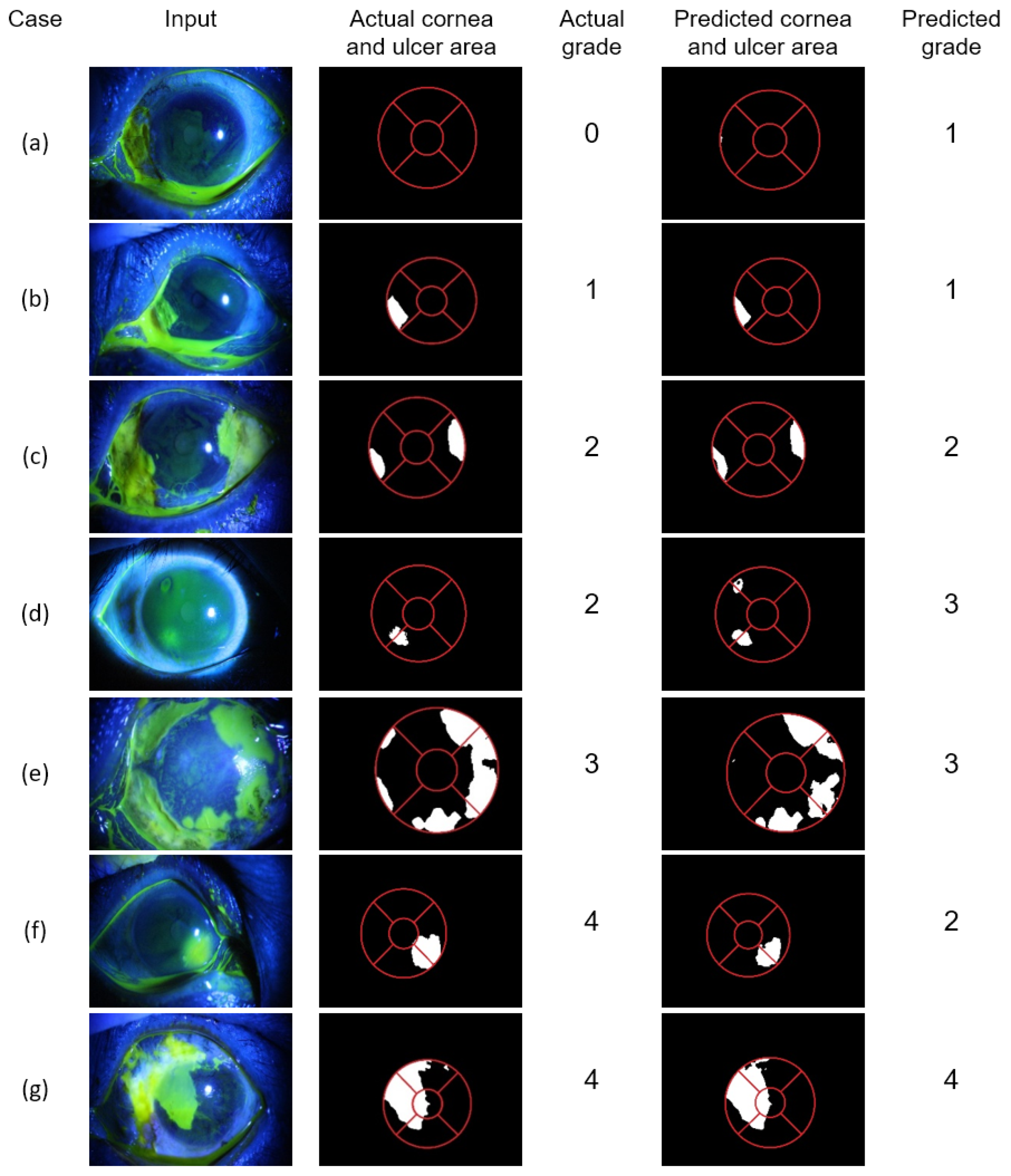 Algorithms 17 00405 g018