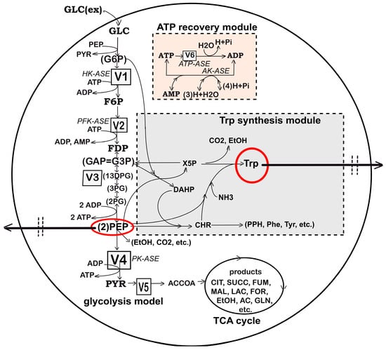 Algorithms 17 00428 g002