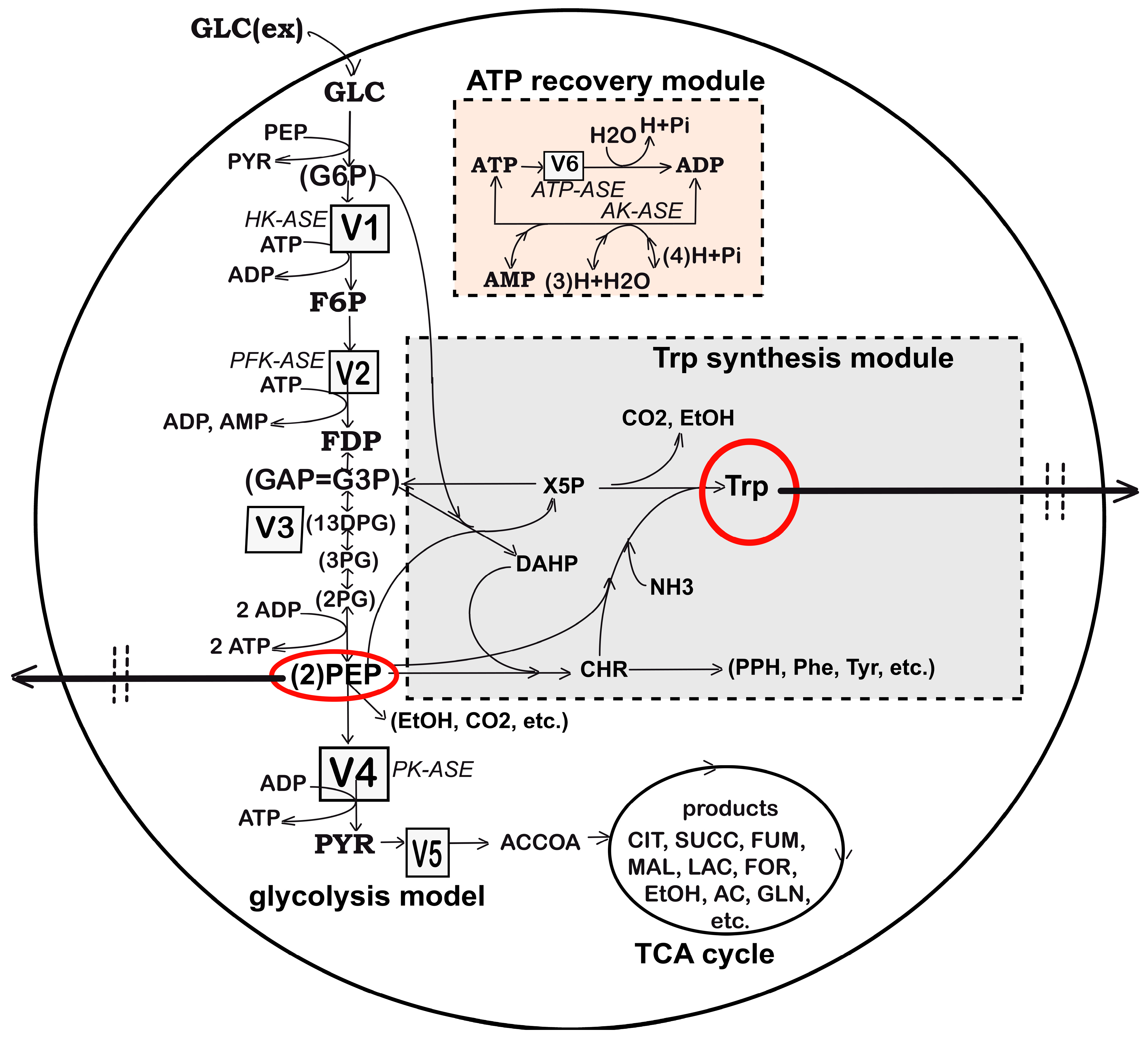 Algorithms 17 00428 g002