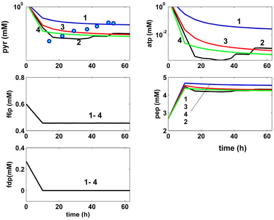Algorithms 17 00428 g006