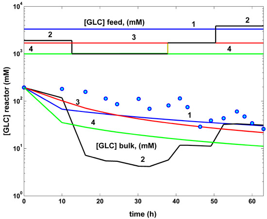 Algorithms 17 00428 g008