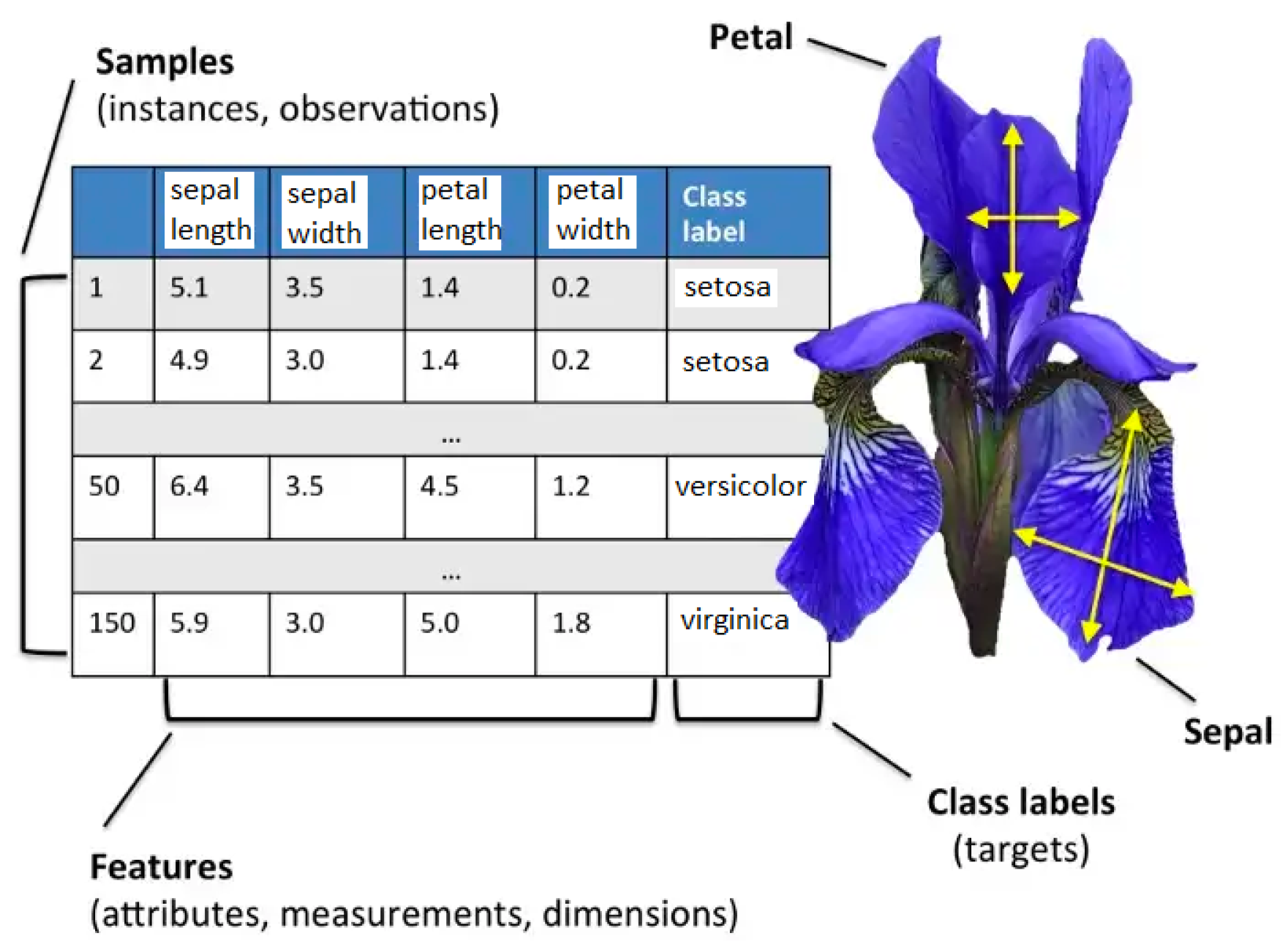 Algorithms 17 00476 g006
