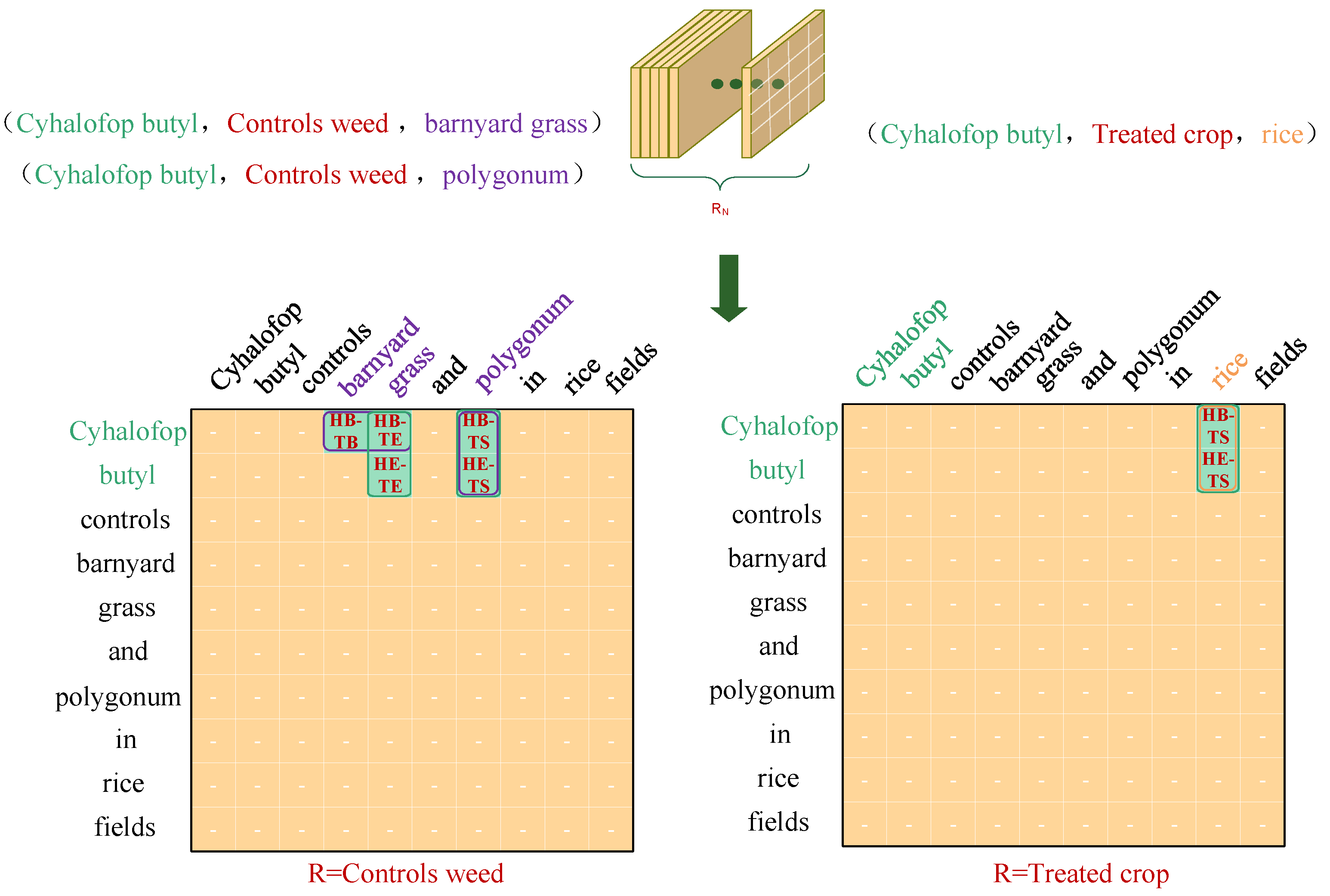 Algorithms 17 00559 g004