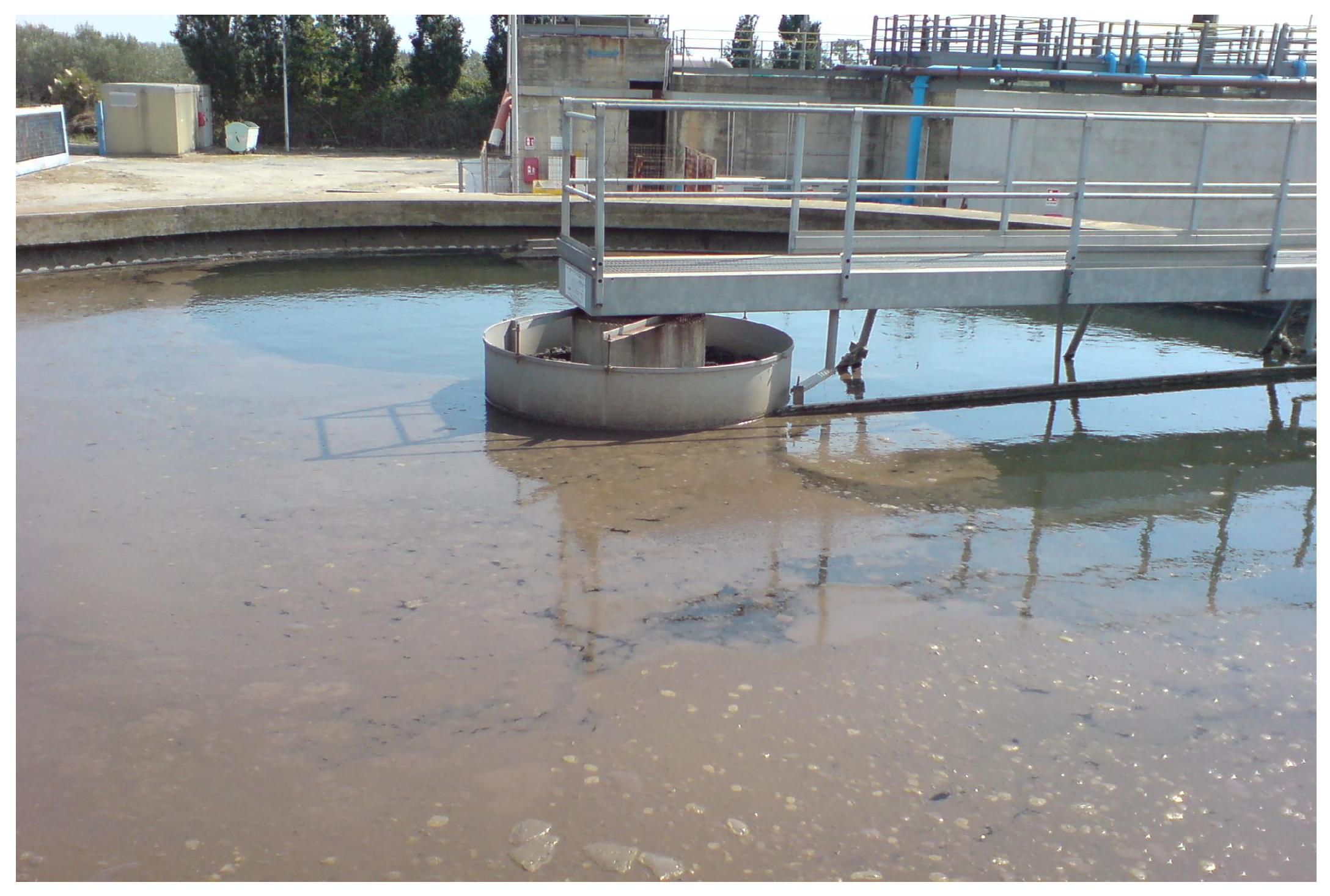 Algorithms 17 00592 g010