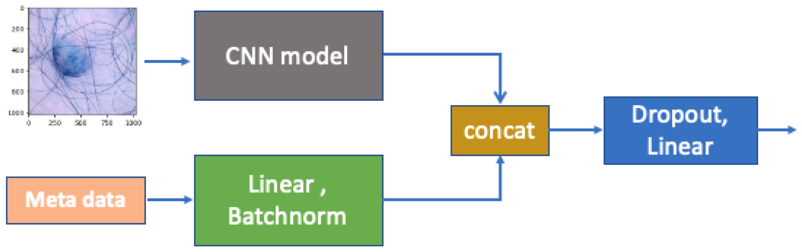 Algorithms 18 00055 g004
