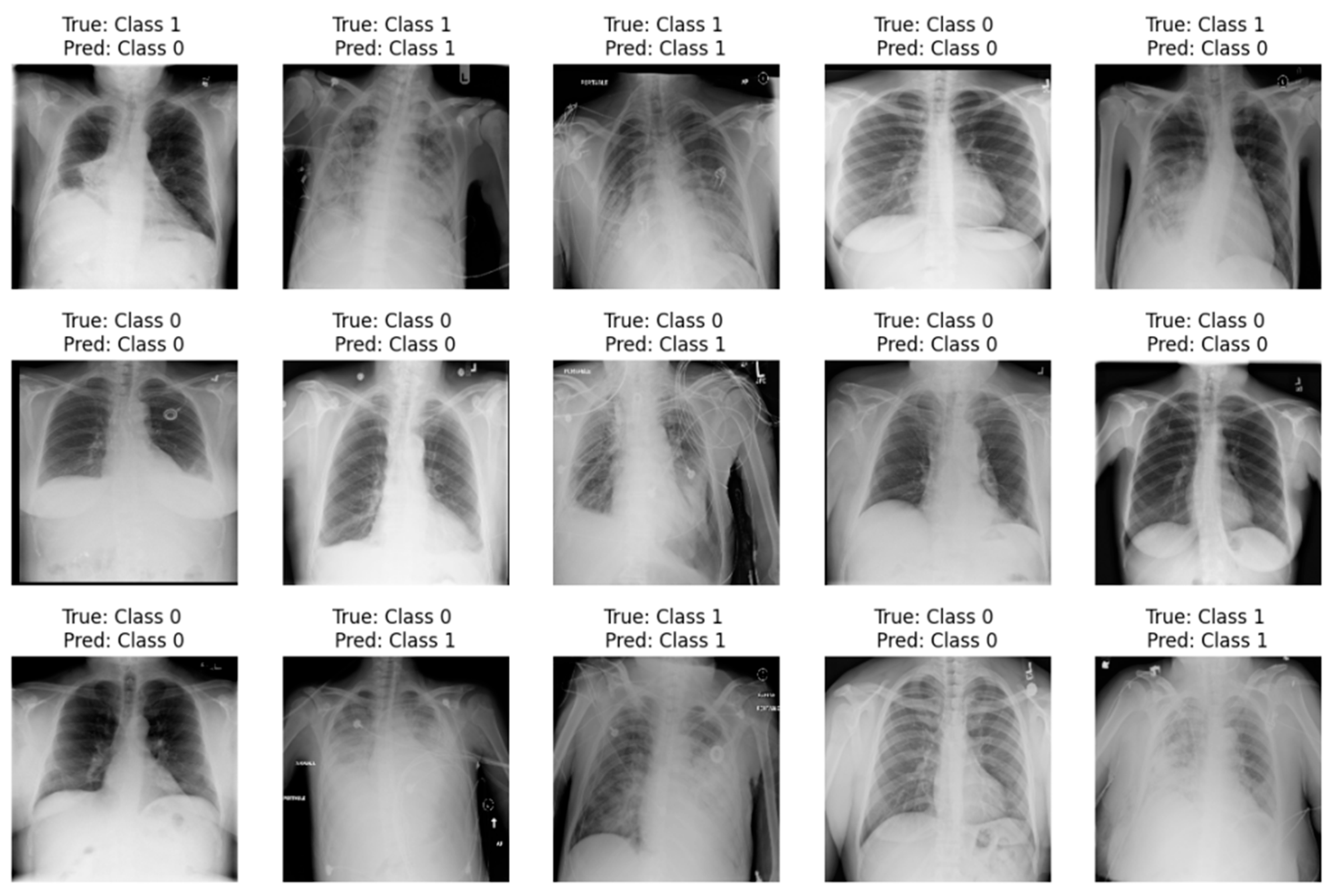 Algorithms 18 00082 g005