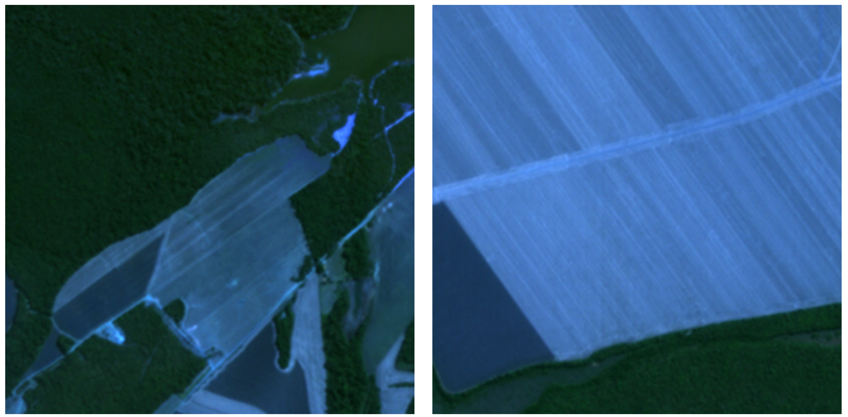 Algorithms 18 00102 g003