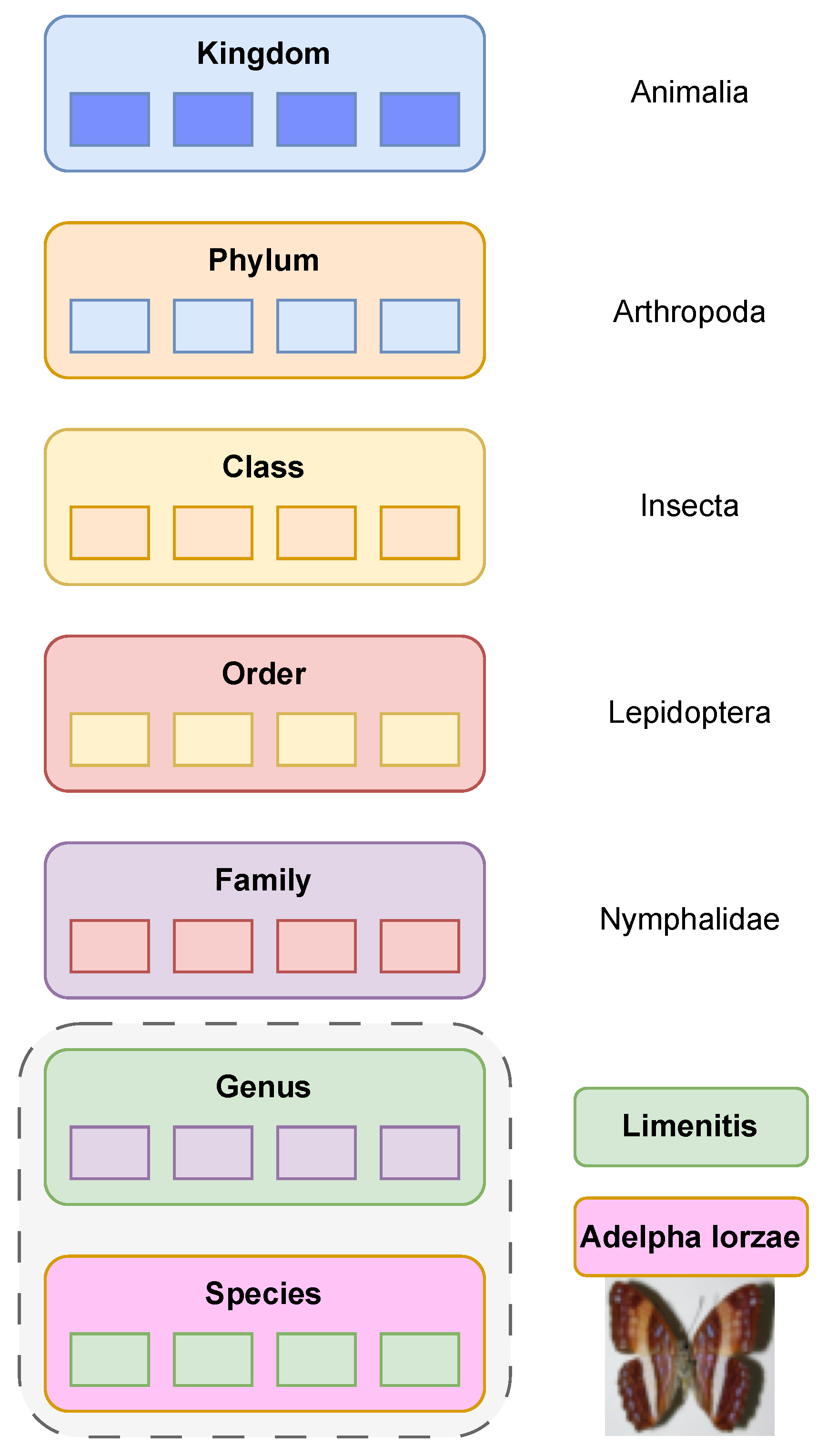 Algorithms 18 00105 g001