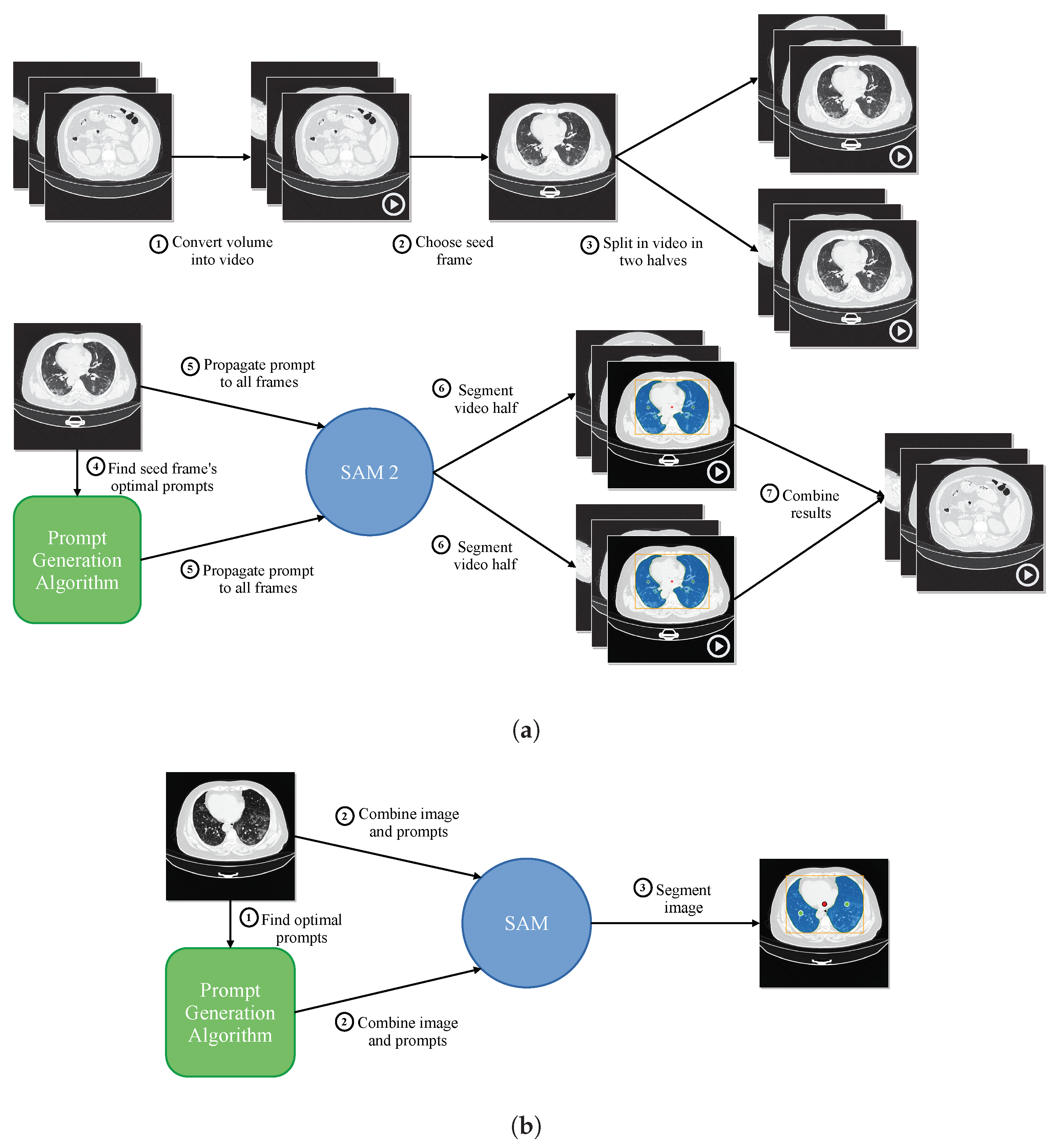 Algorithms 18 00227 g004