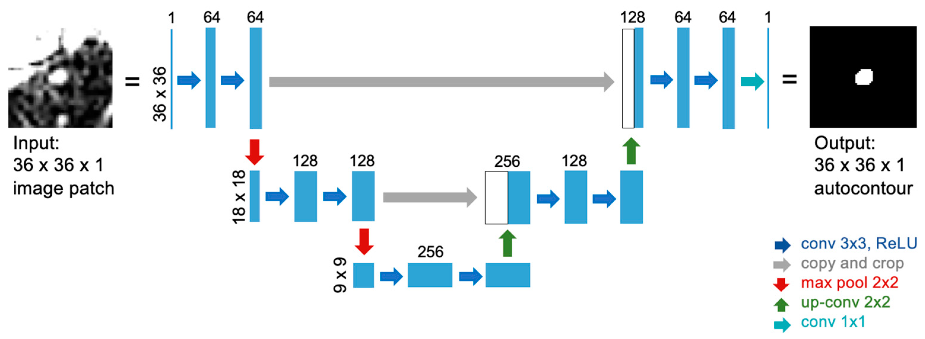 Algorithms 18 00233 g002