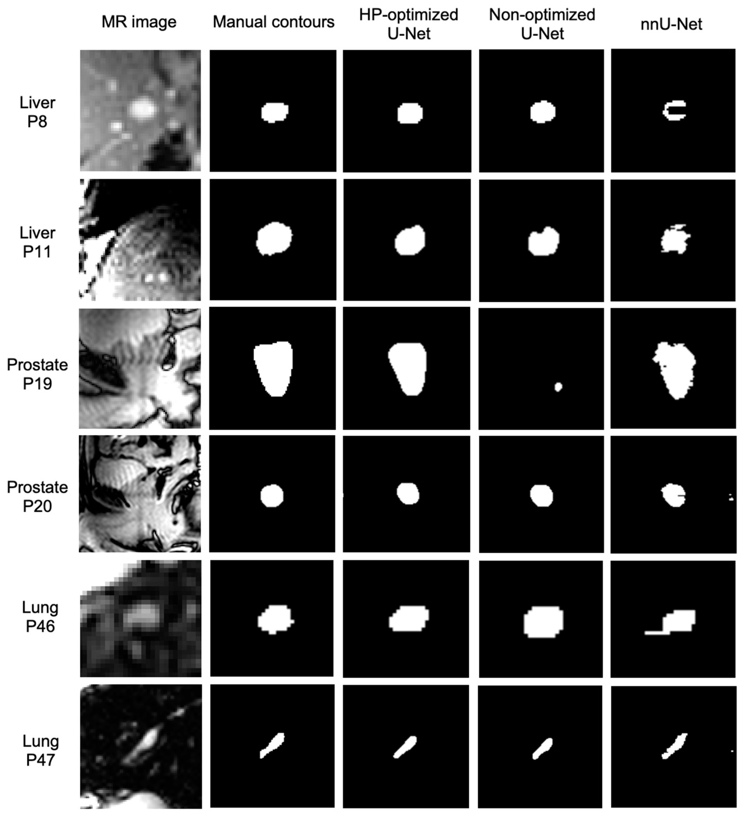 Algorithms 18 00233 g007