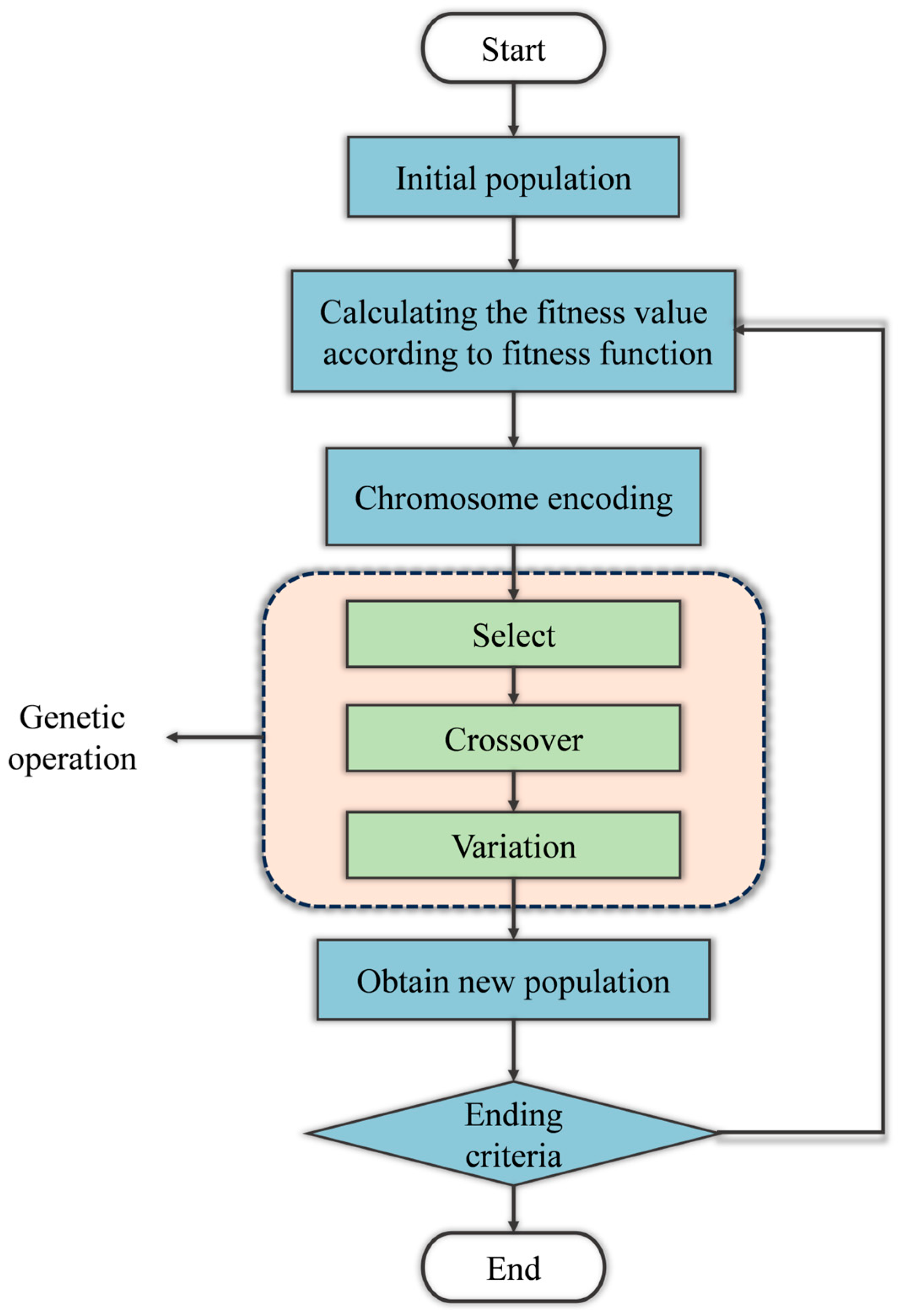 Algorithms 18 00354 g013